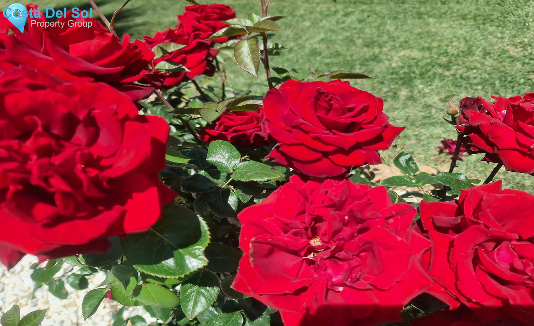 Middle Floor Apartment in Mijas Costa