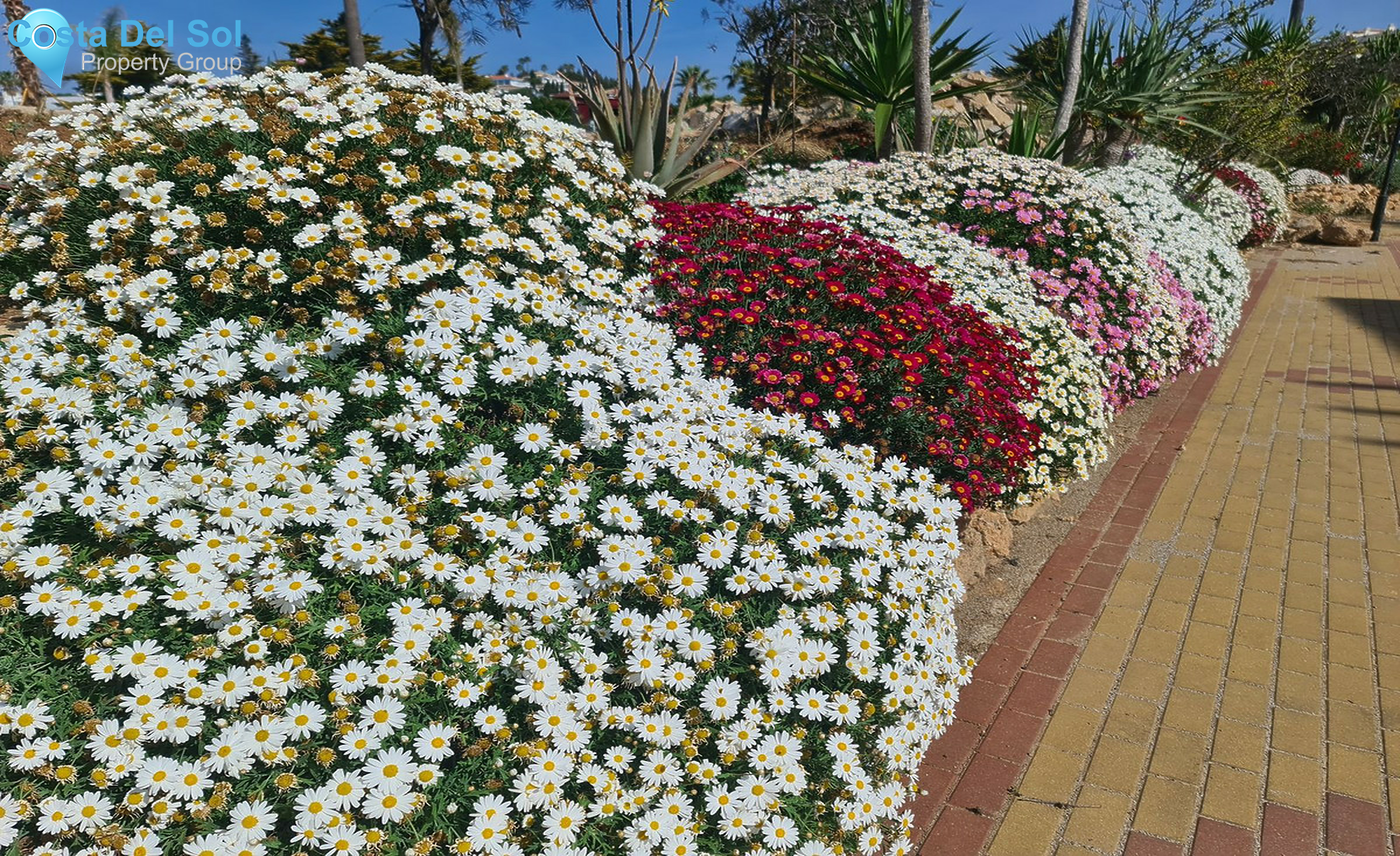 Middle Floor Apartment in Mijas Costa-1477041