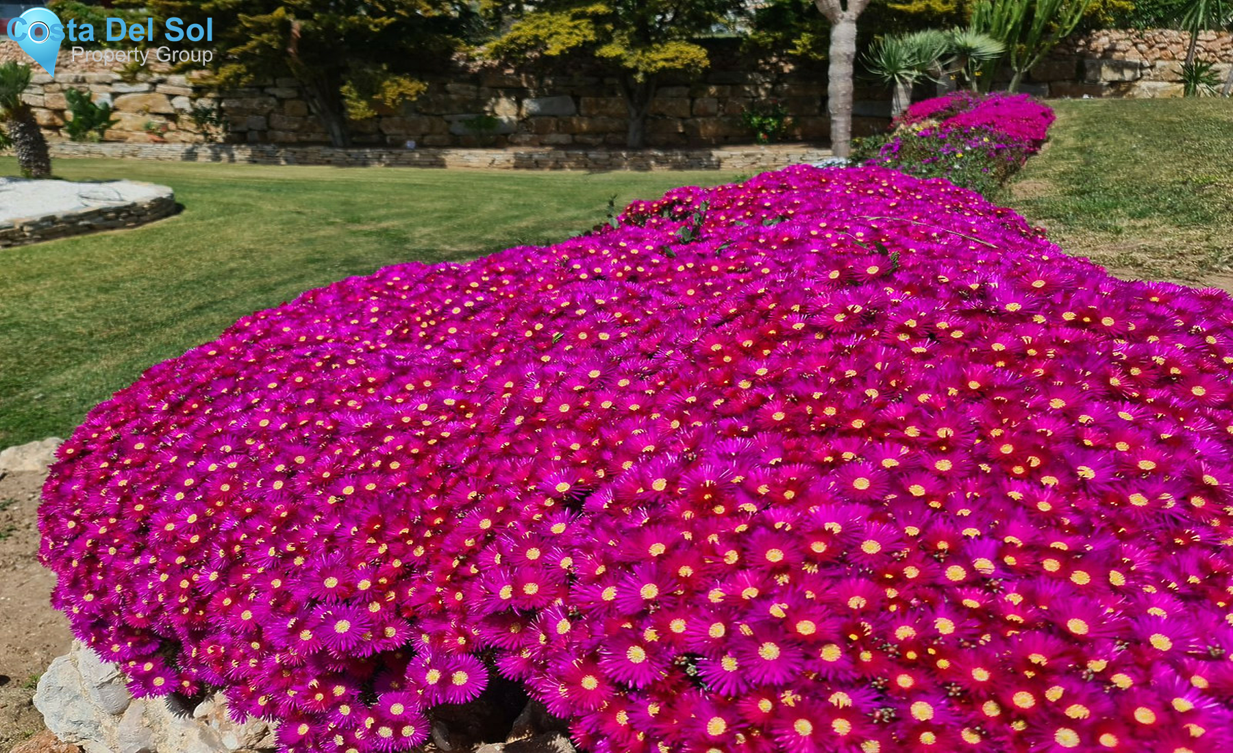 Middle Floor Apartment in Mijas Costa-1477042