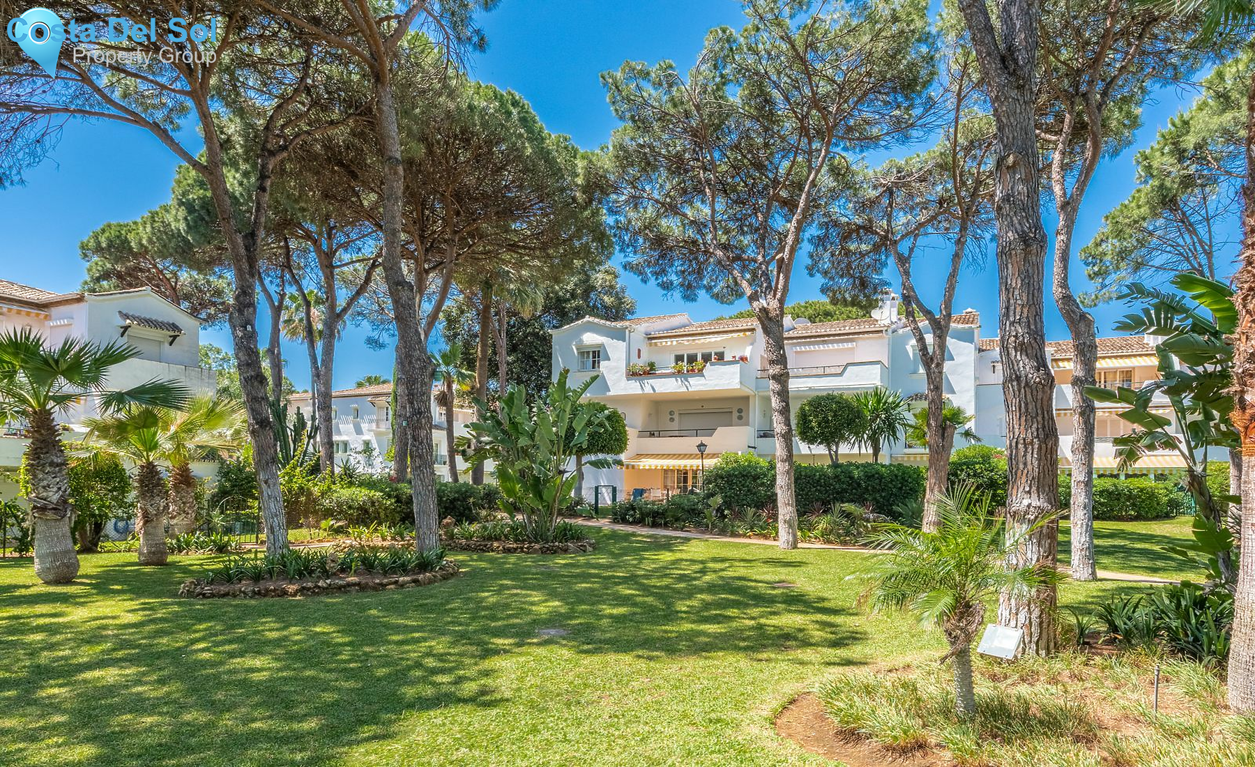 Penthouse in El Presidente-1178329