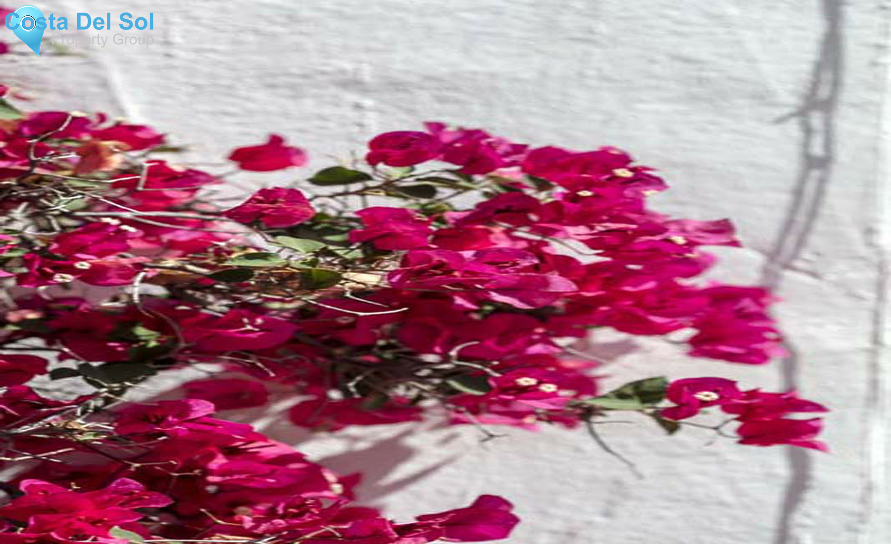 Penthouse in Nueva Andalucía-1325652