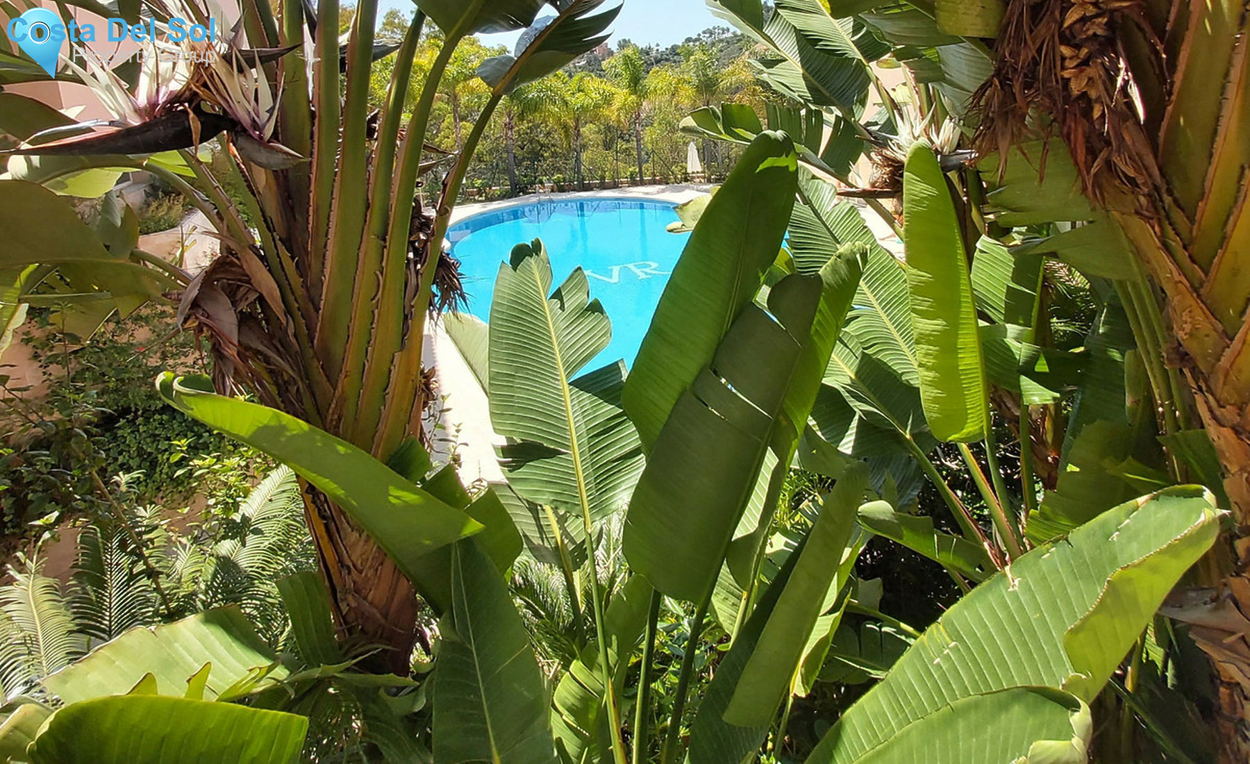 Penthouse in Nueva Andalucía-1349813