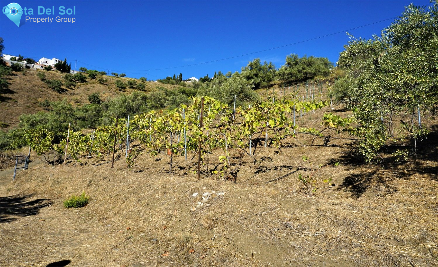 Semi-Detached House in Cómpeta-1225911