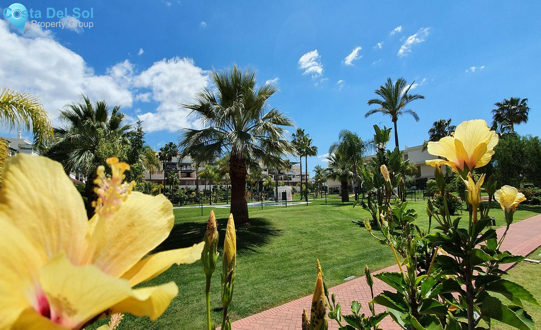 Top Floor Apartment in Nueva Andalucía