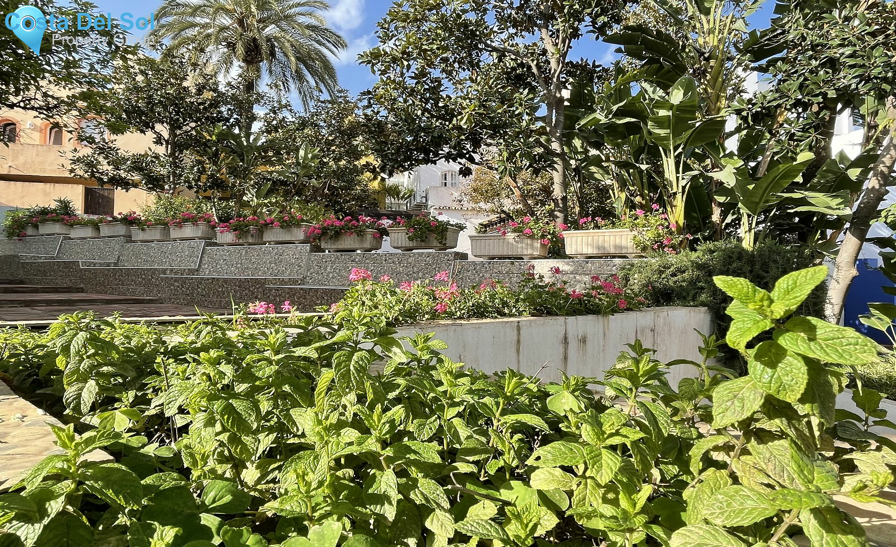 Townhouse in Nueva Andalucía-1159974