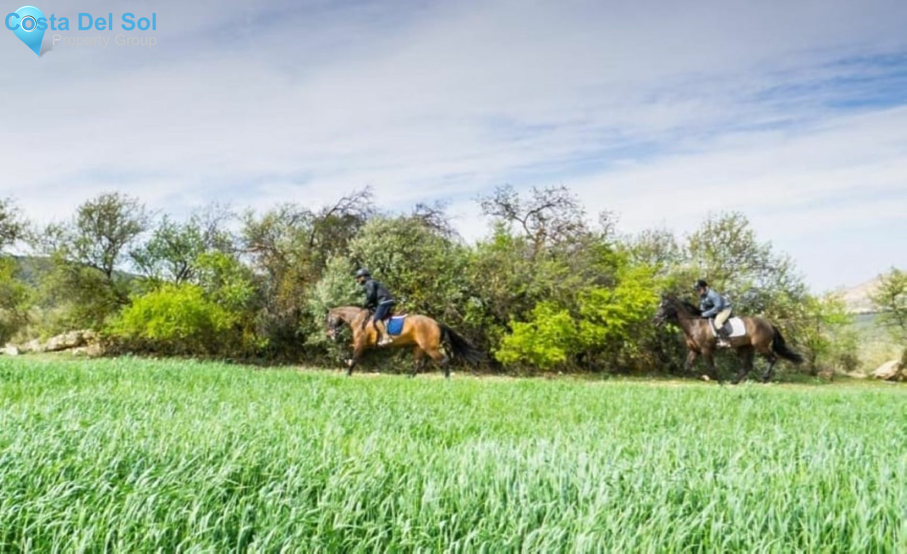 Hotel in Antequera-1184818