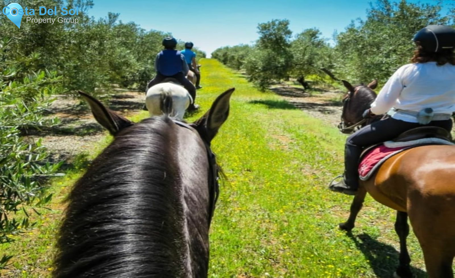 Hotel in Antequera-1184820