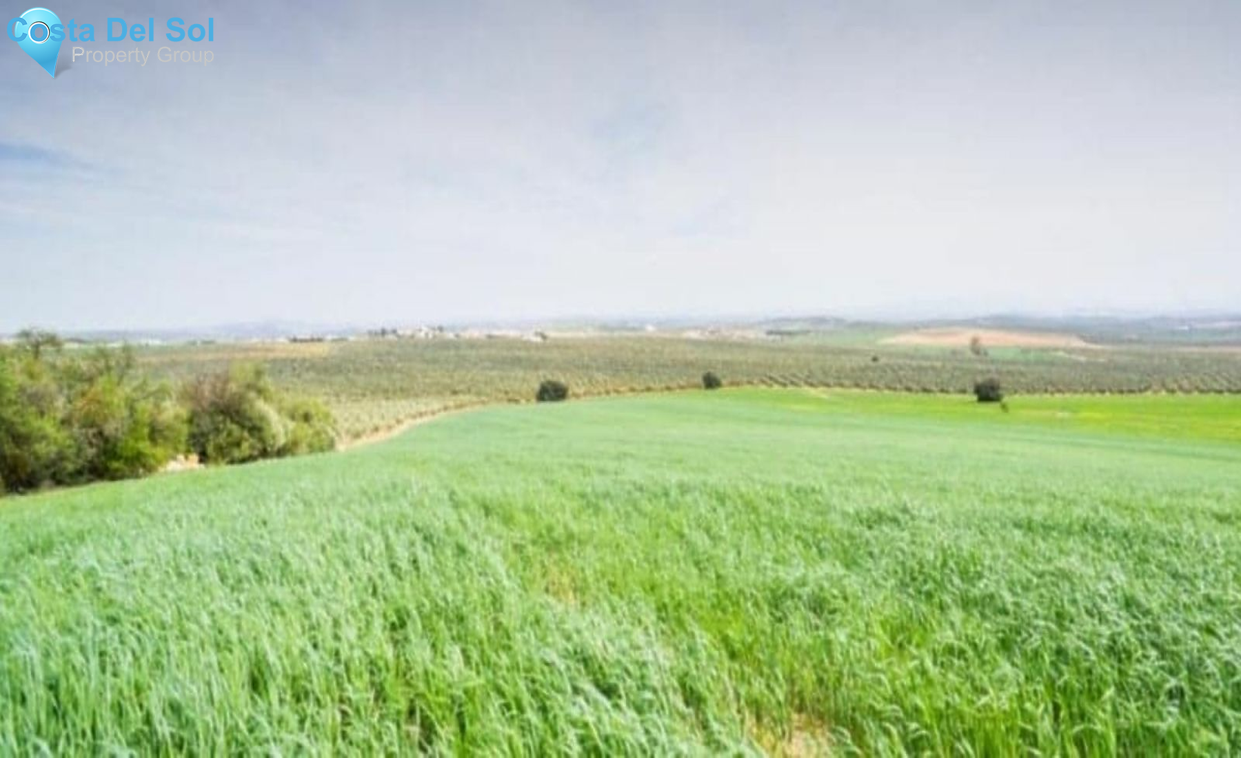 Hotel in Antequera-1517618