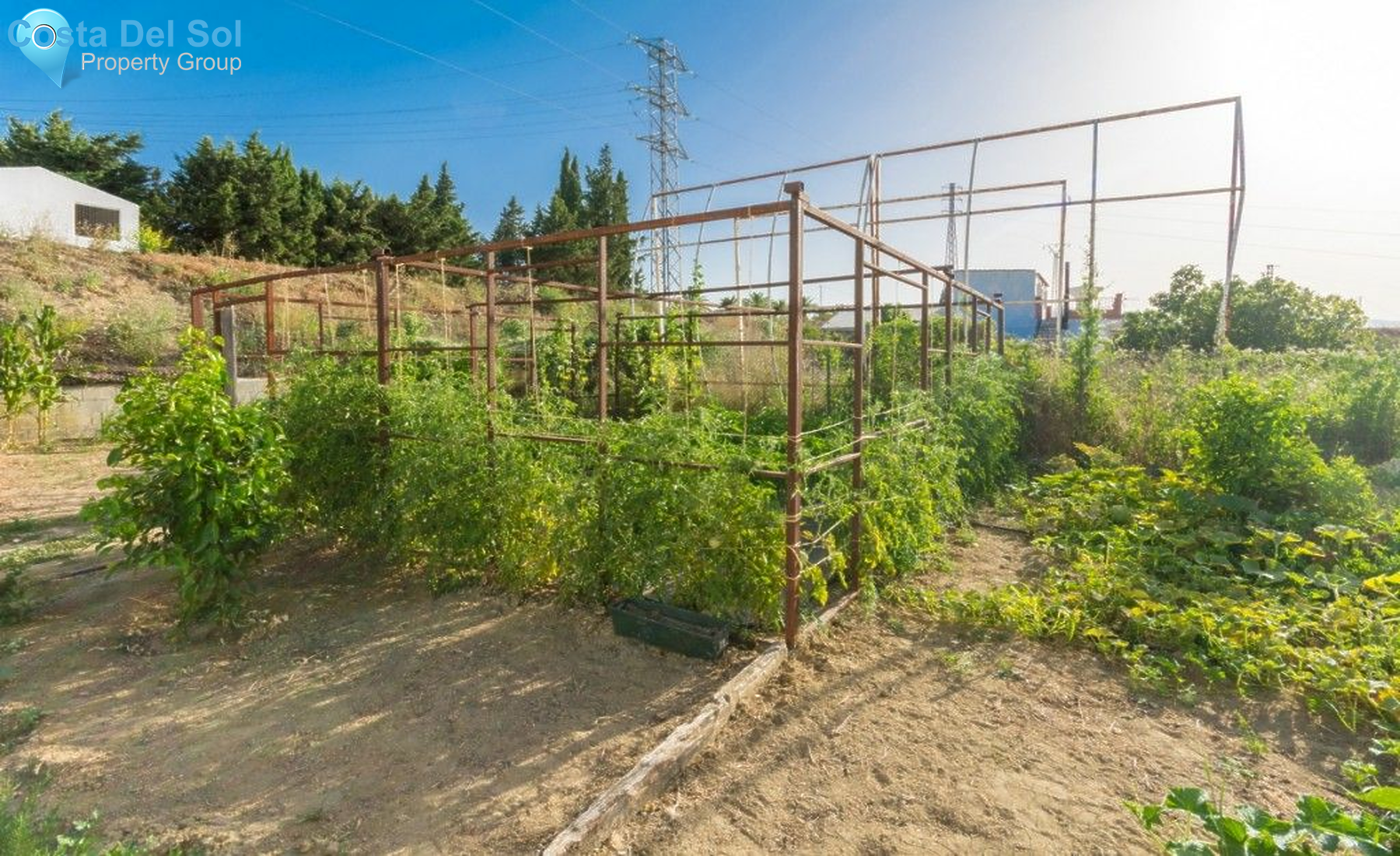 Finca - Cortijo in Cártama-1213745