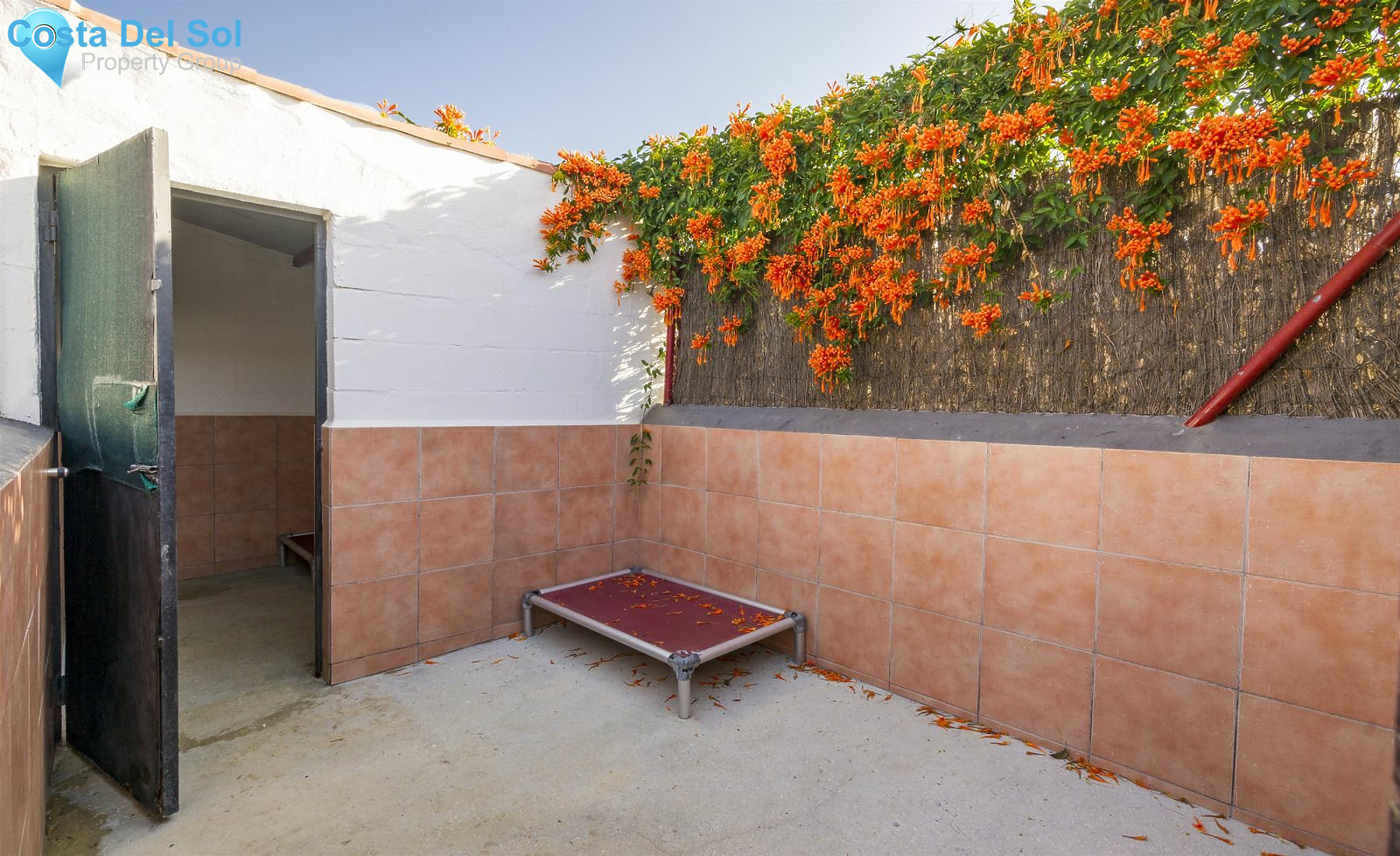 Business in Almogía-1489527