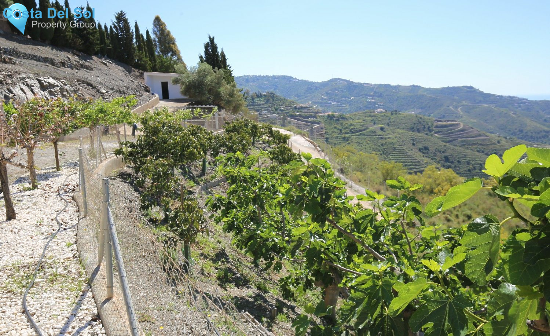 Detached Villa in Algarrobo-1199334