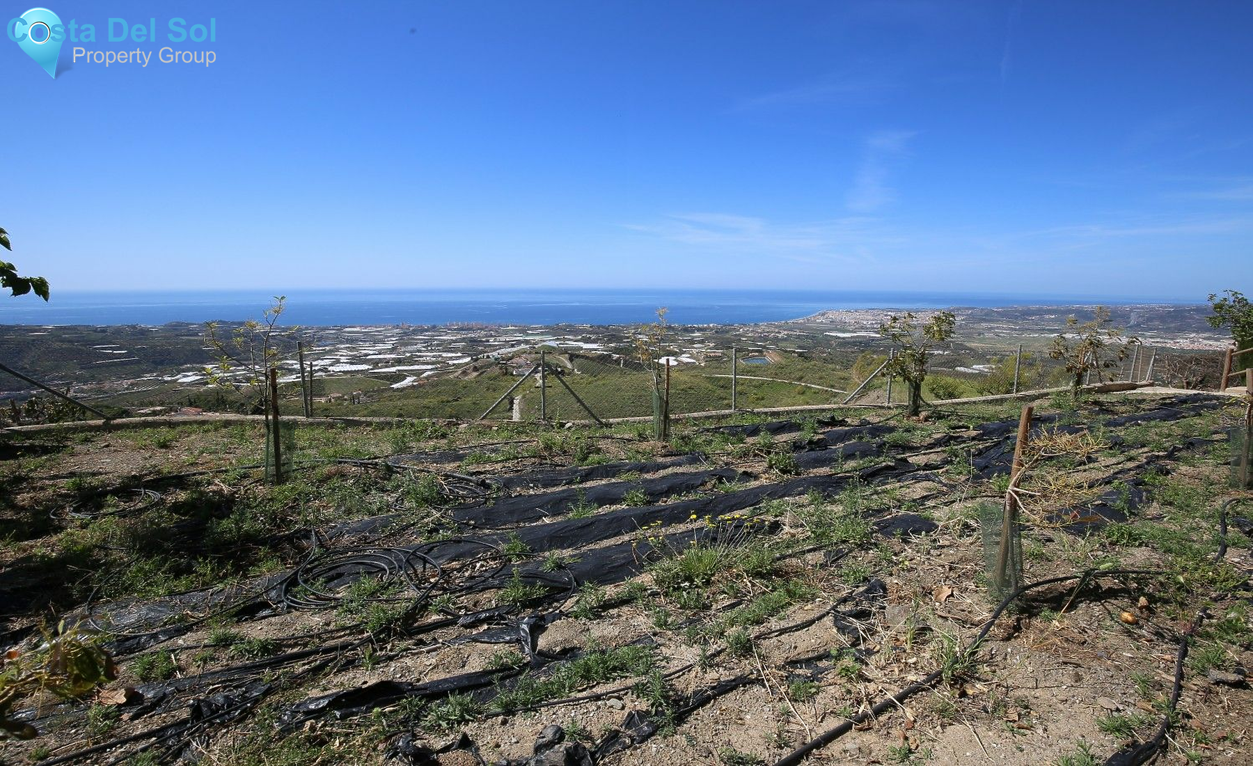 Detached Villa in Algarrobo-1199336