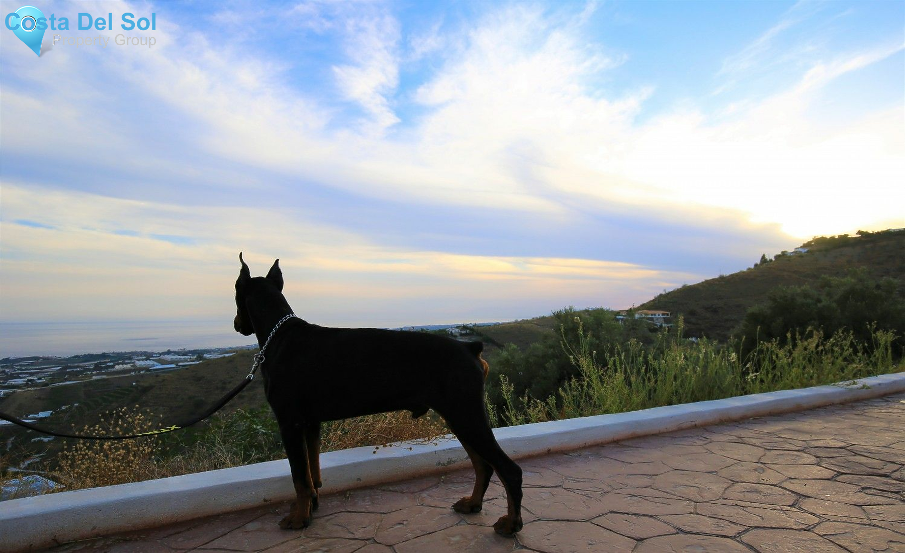 Detached Villa in Algarrobo-1211020