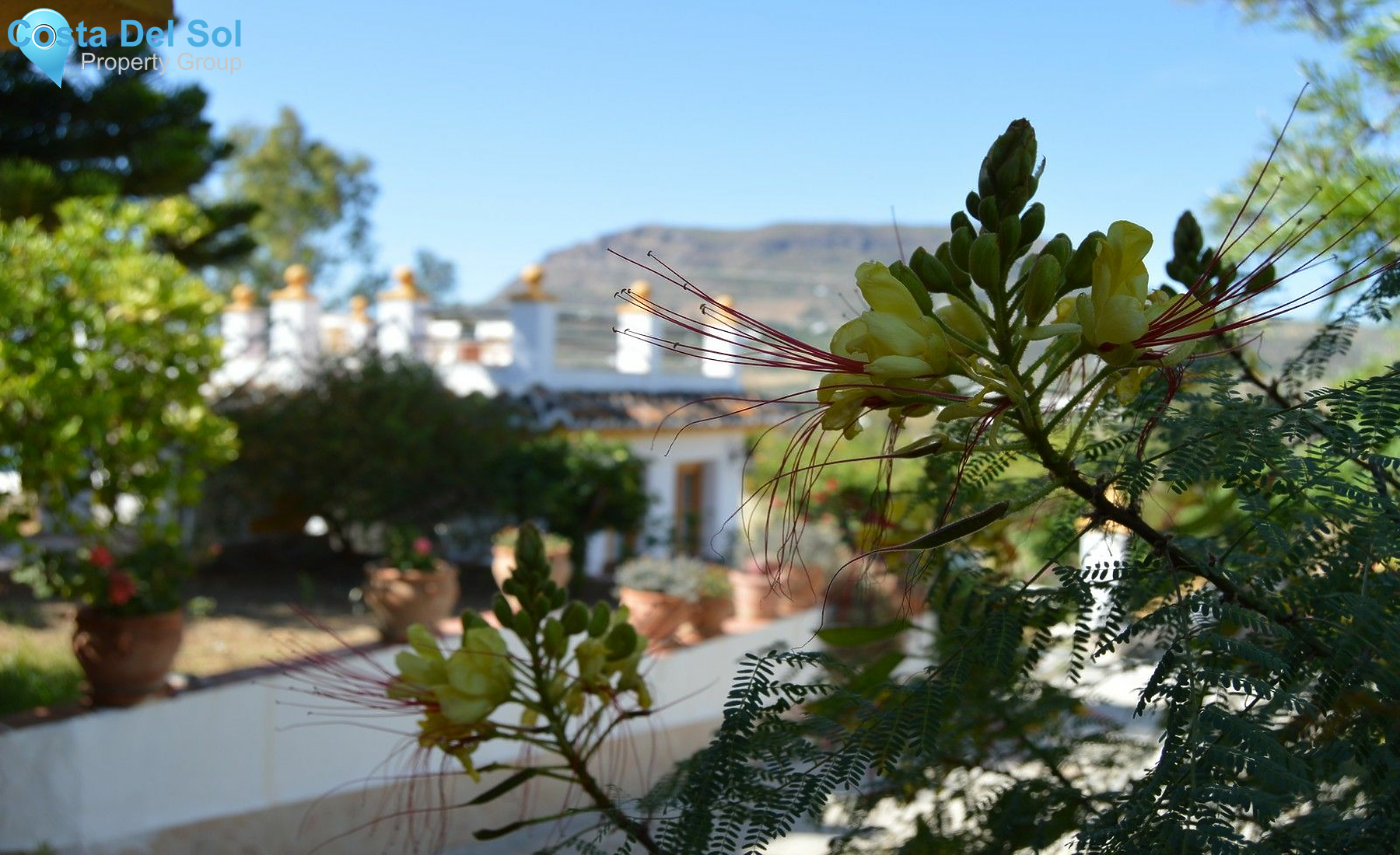 Detached Villa in Alora-1217407