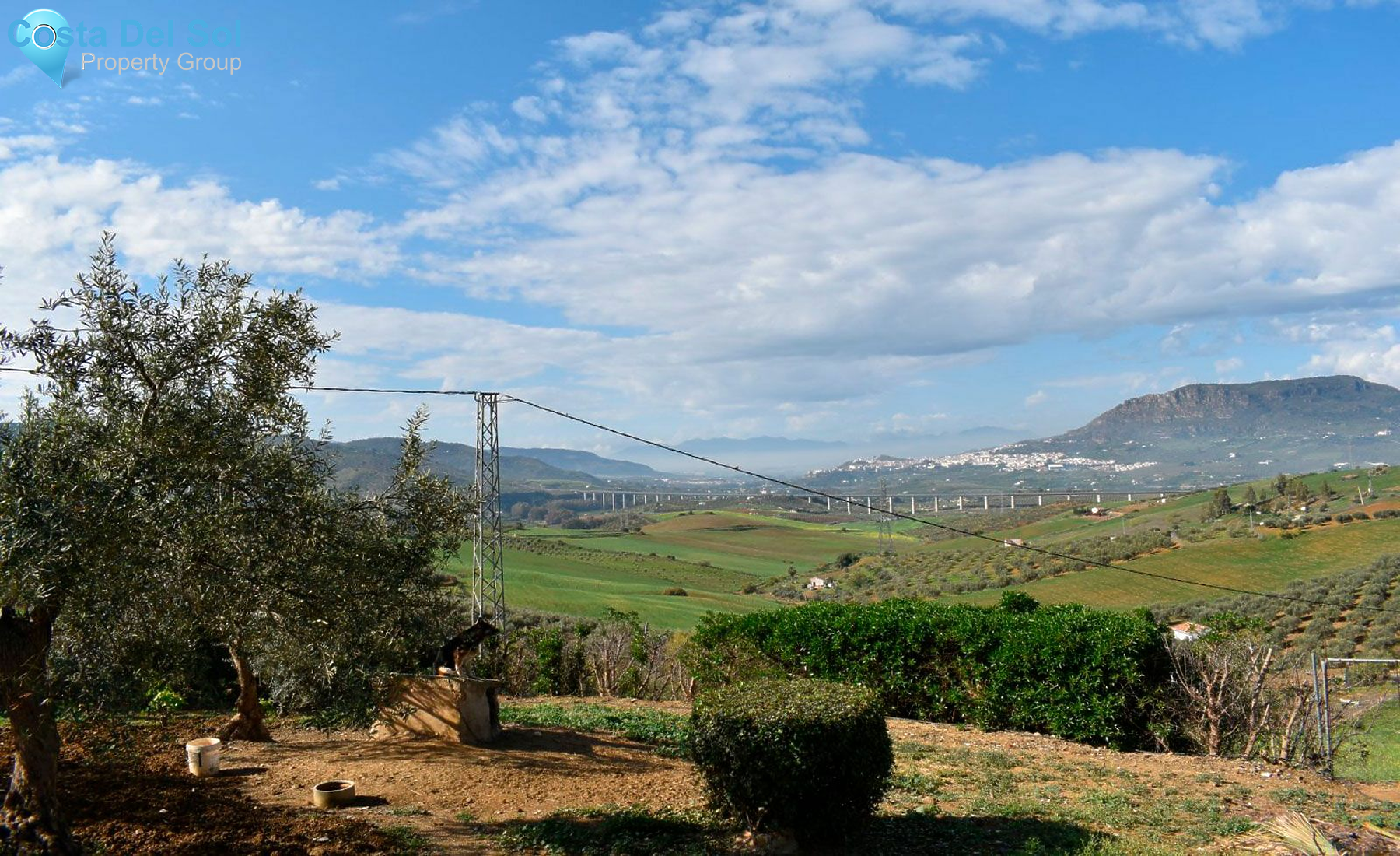 Detached Villa in Alora-1493220