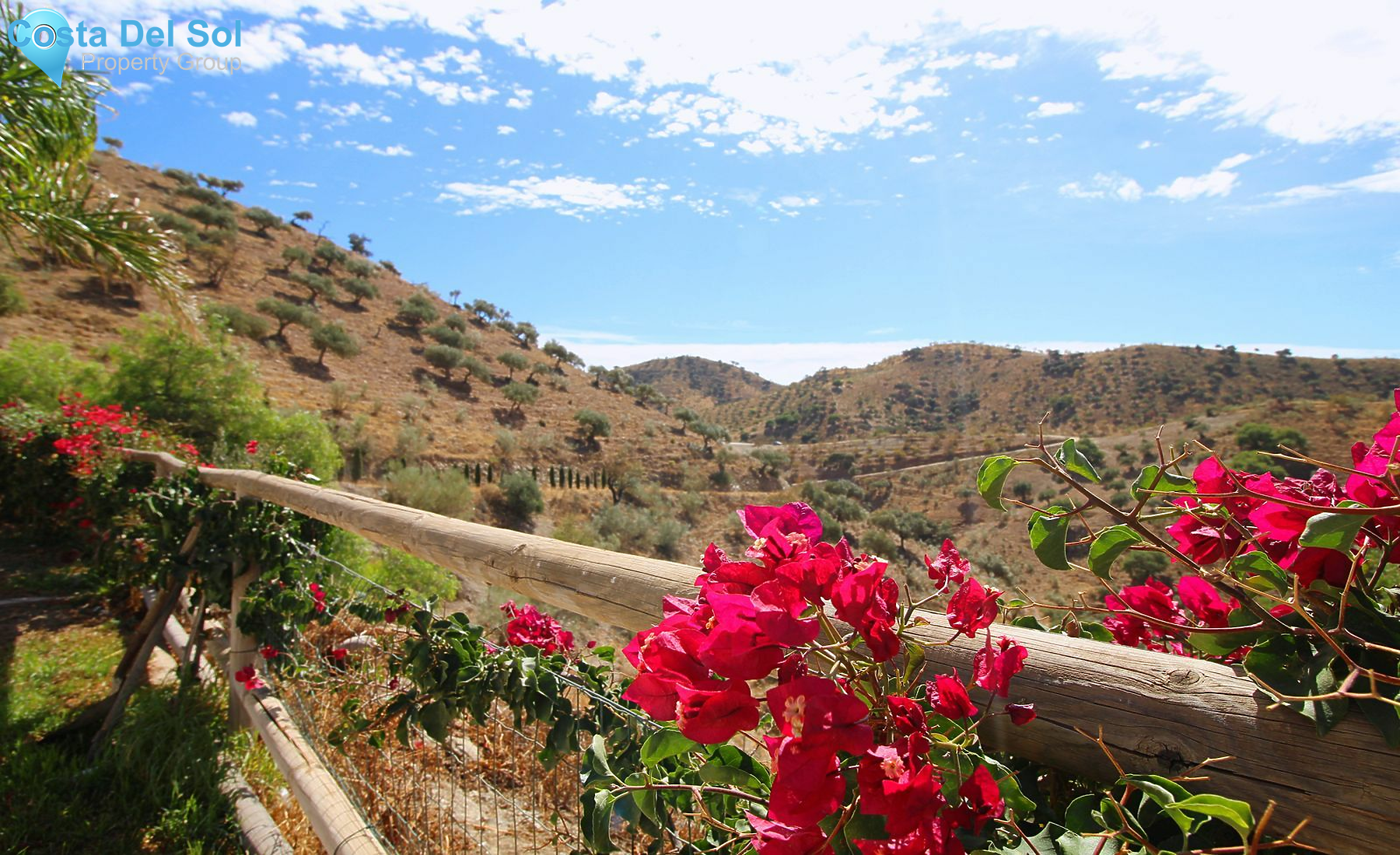 Detached Villa in Alora-1495342