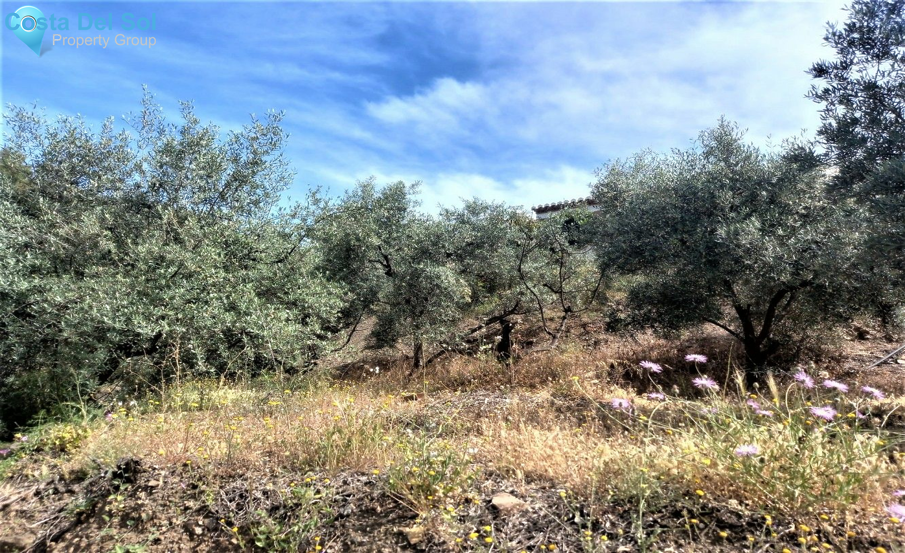 Detached Villa in Canillas de Aceituno-1185163