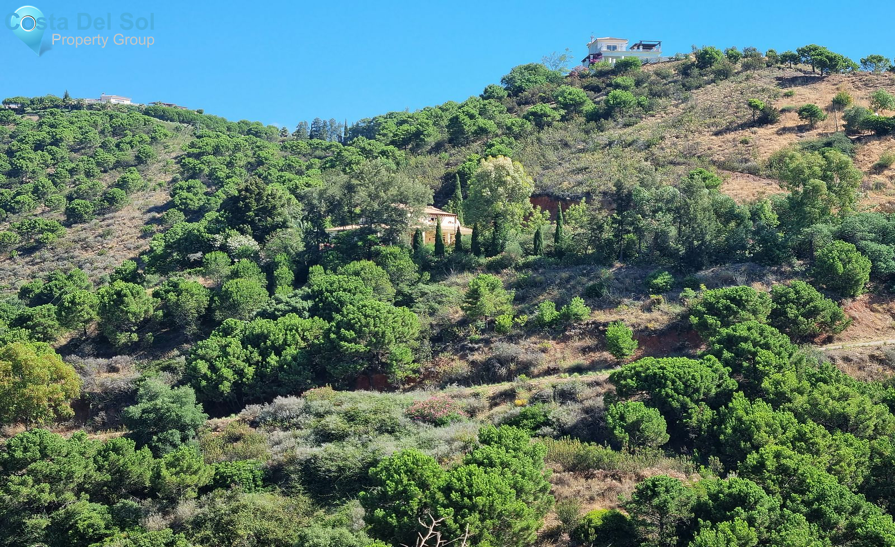 Detached Villa in Estepona-1469945