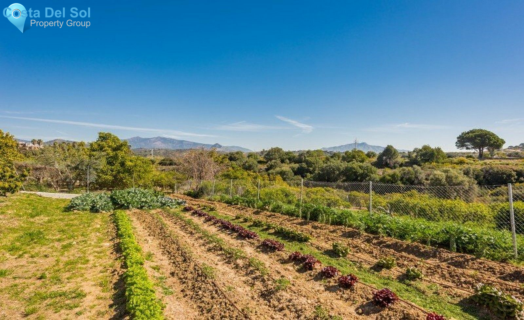 Detached Villa in Estepona-1514898