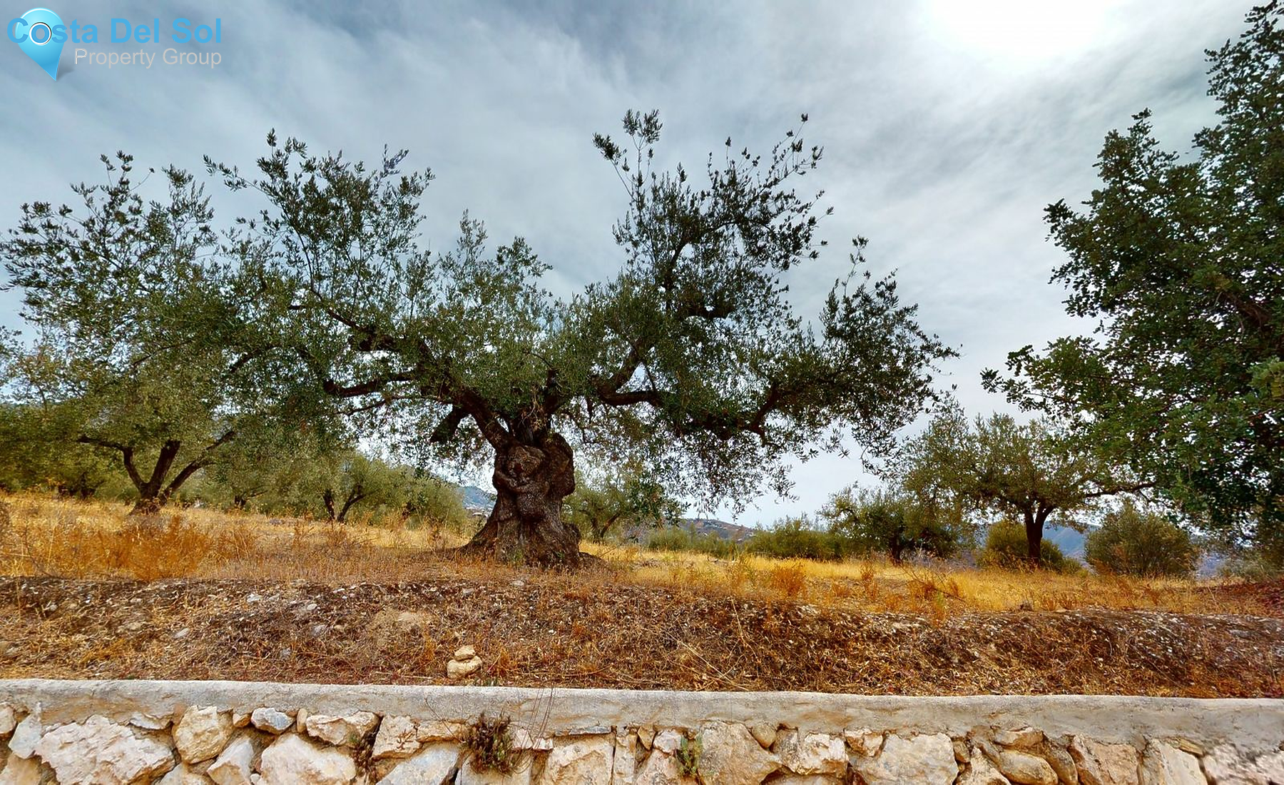 Detached Villa in La Viñuela-1488381