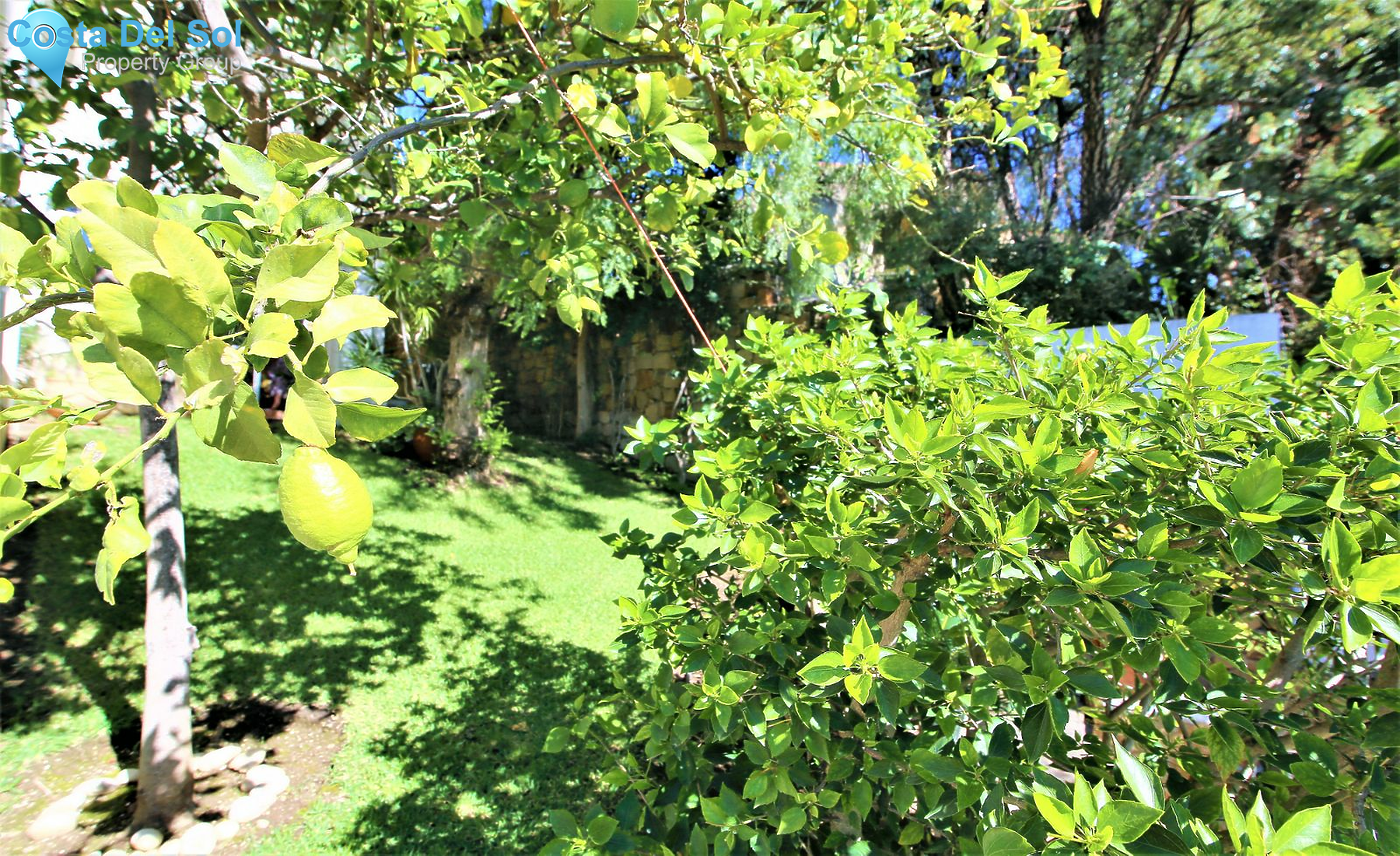 Detached Villa in Marbella-1223036