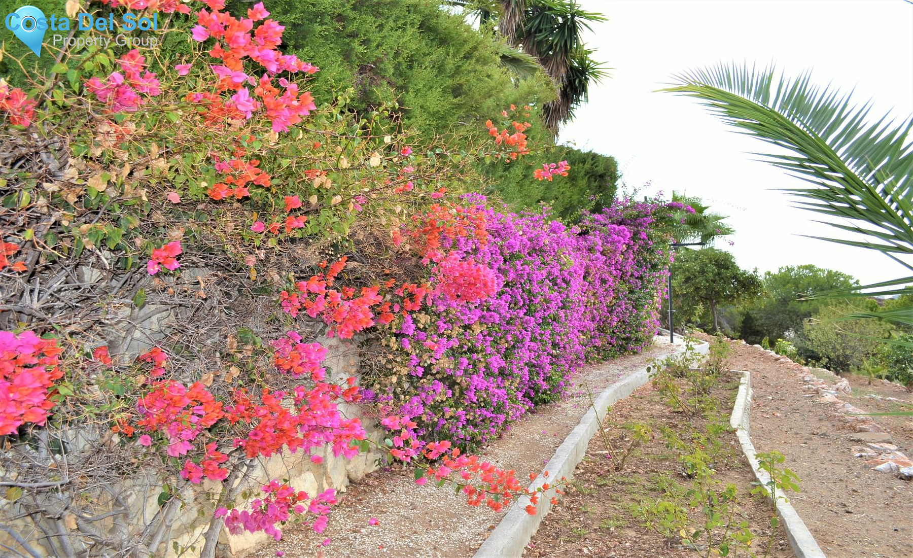 Detached Villa in Mijas-1207278