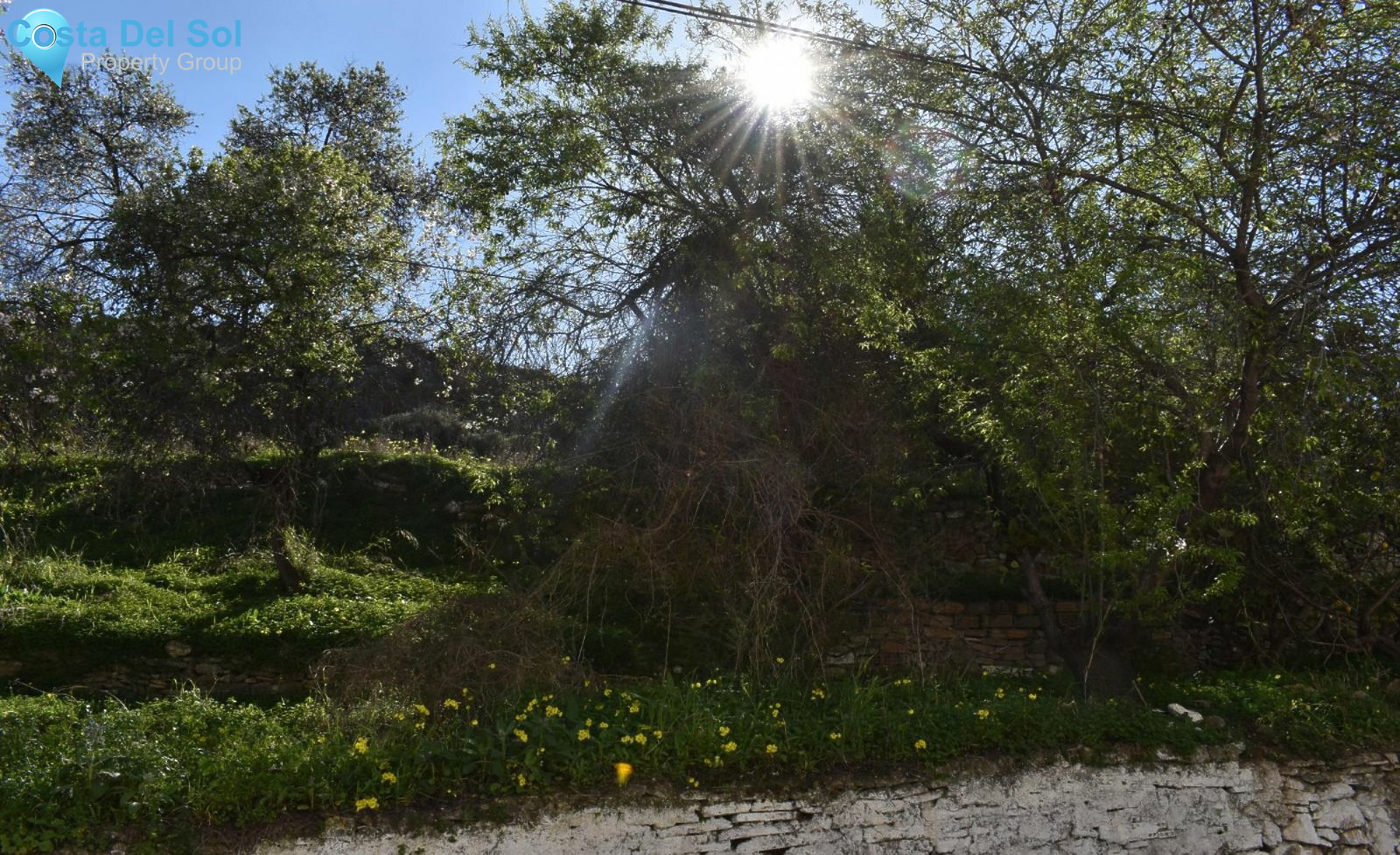 Detached Villa in Monda-1397106