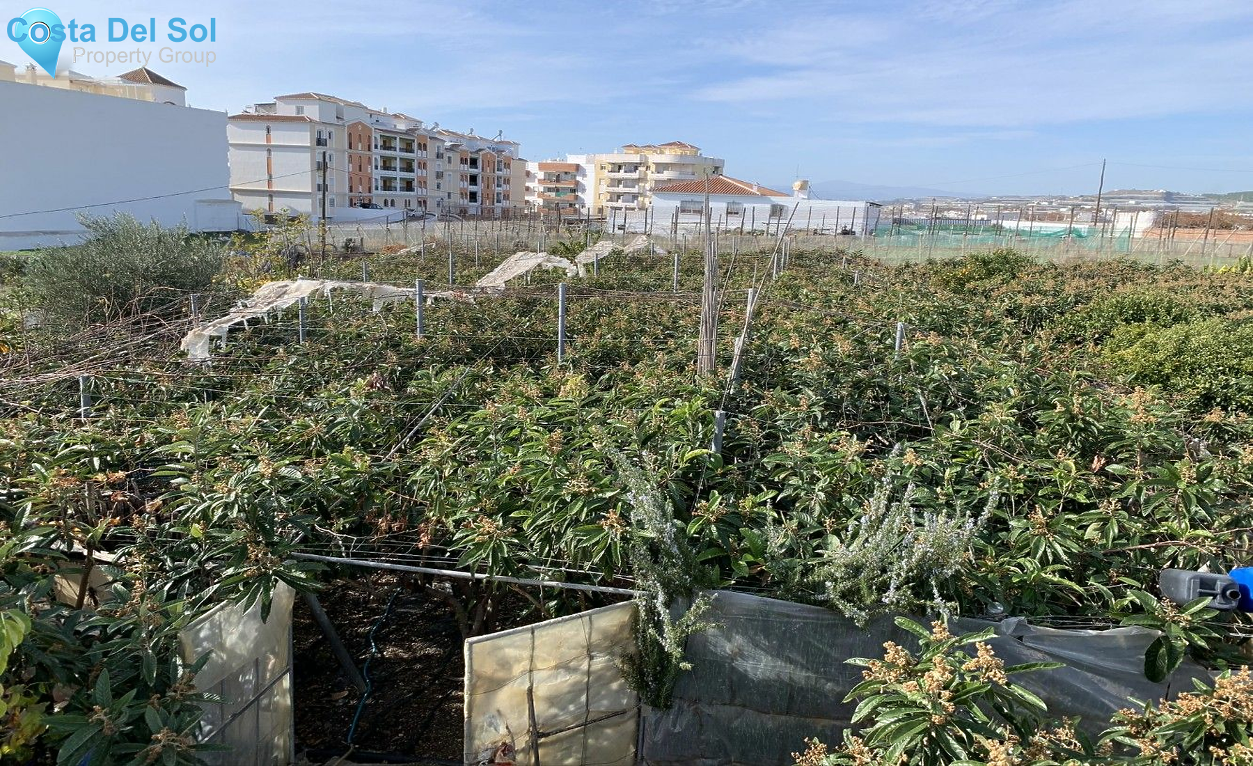 Detached Villa in Torrox-1150463