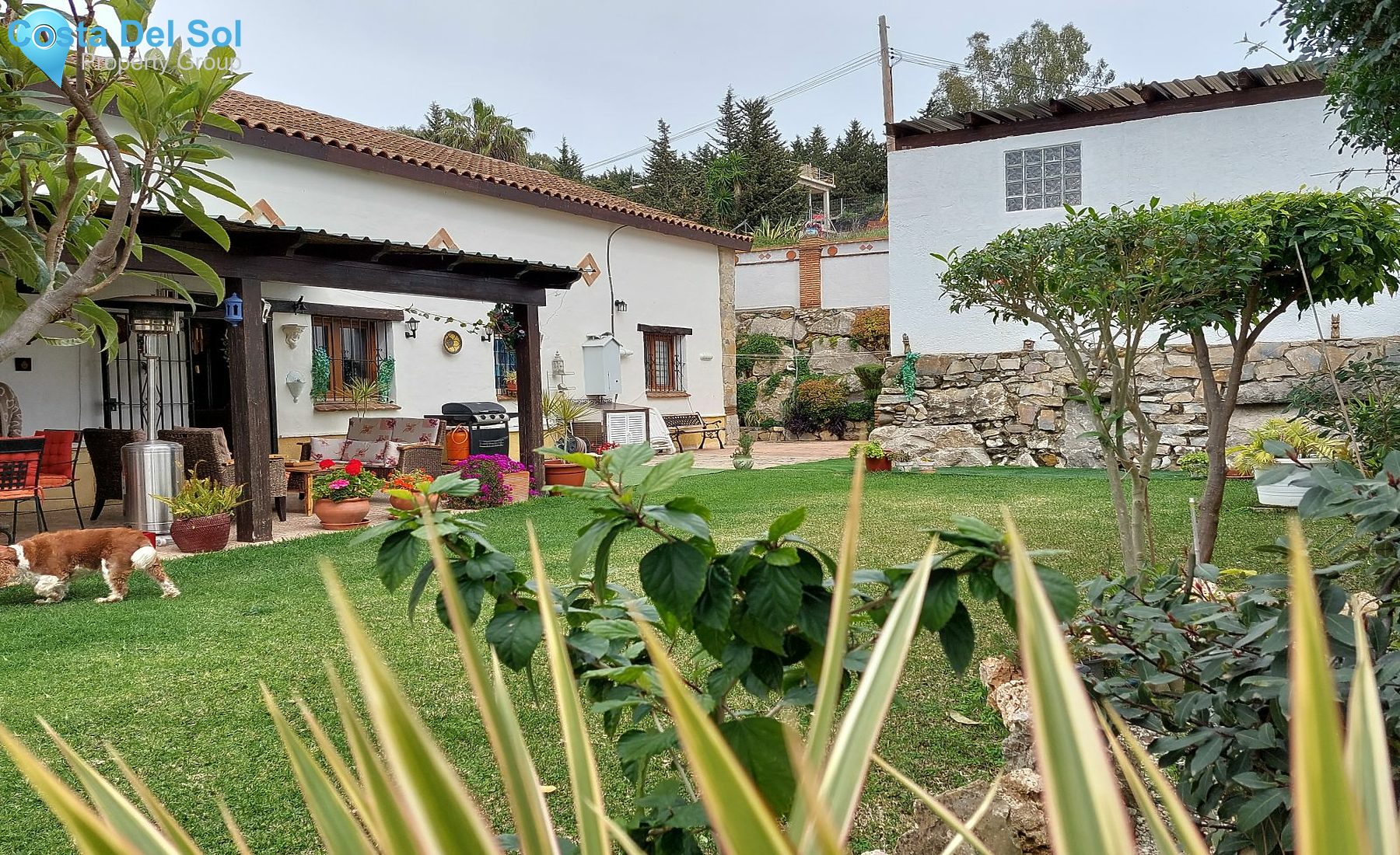 Detached Villa in Valle Romano-1154682