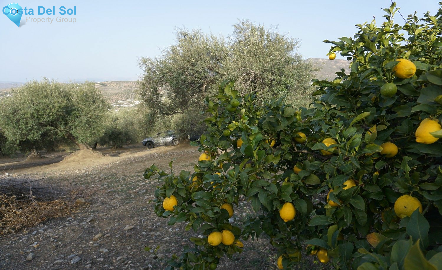 Finca - Cortijo in Alcaucín-1221211
