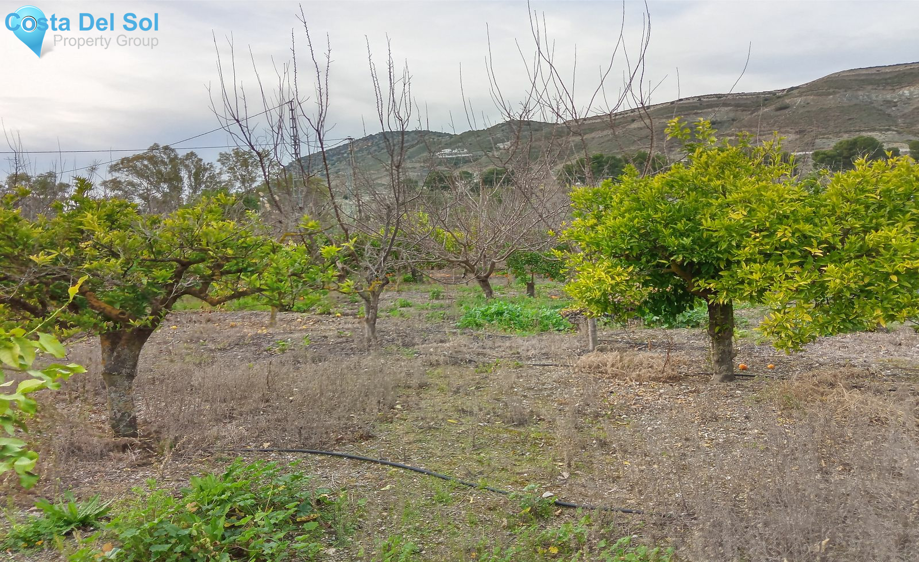 Finca - Cortijo in Alhaurín el Grande-1226638