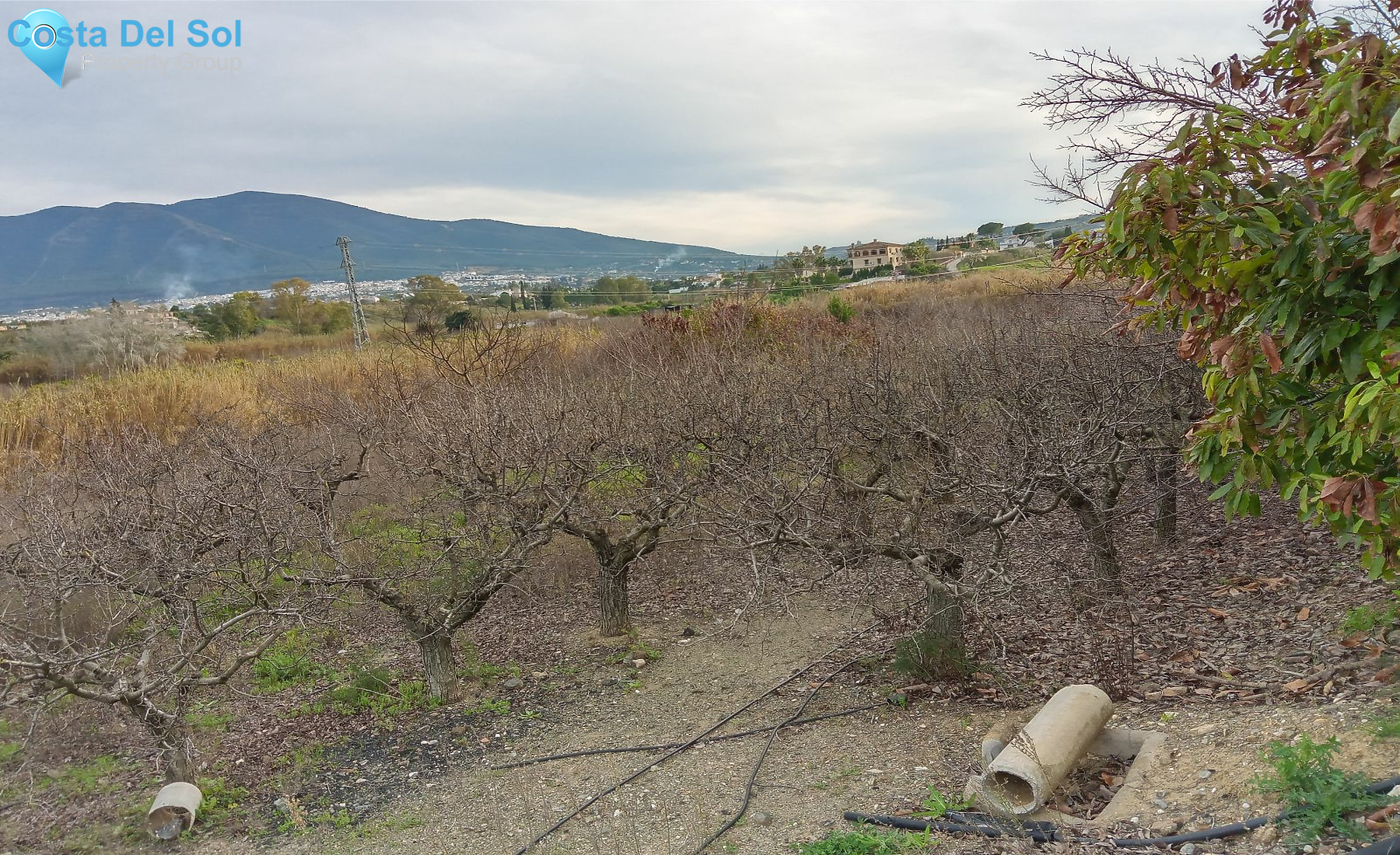 Finca - Cortijo in Alhaurín el Grande-1226639