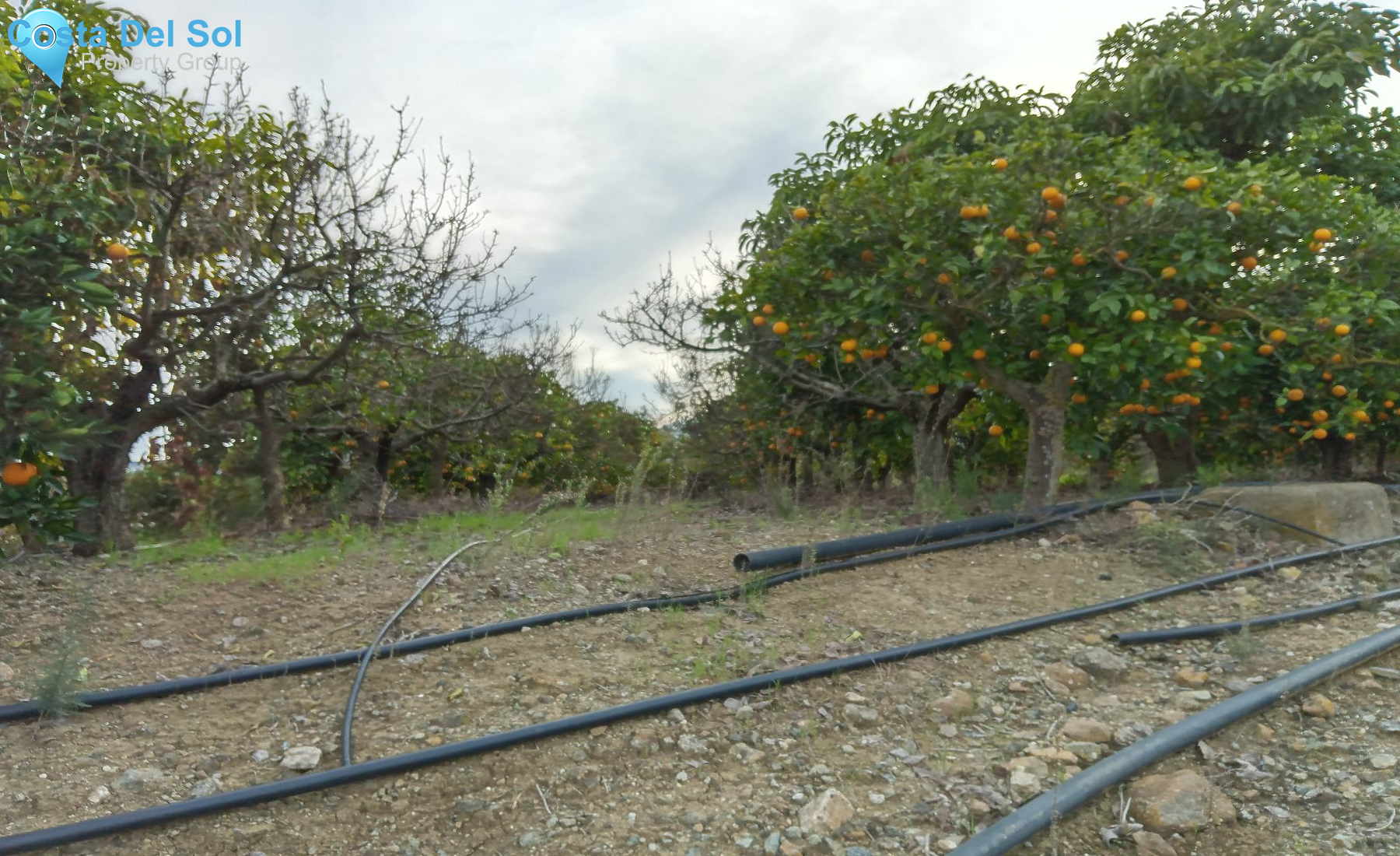 Finca - Cortijo in Alhaurín el Grande-1226640