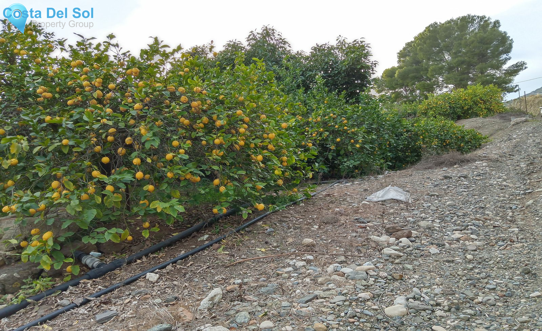 Finca - Cortijo in Alhaurín el Grande-1226641