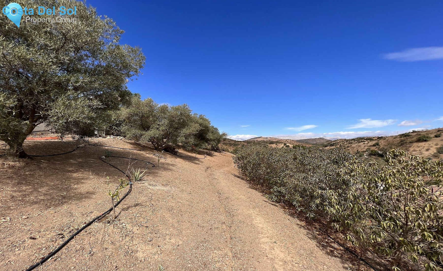 Finca - Cortijo in Almogía-1550176
