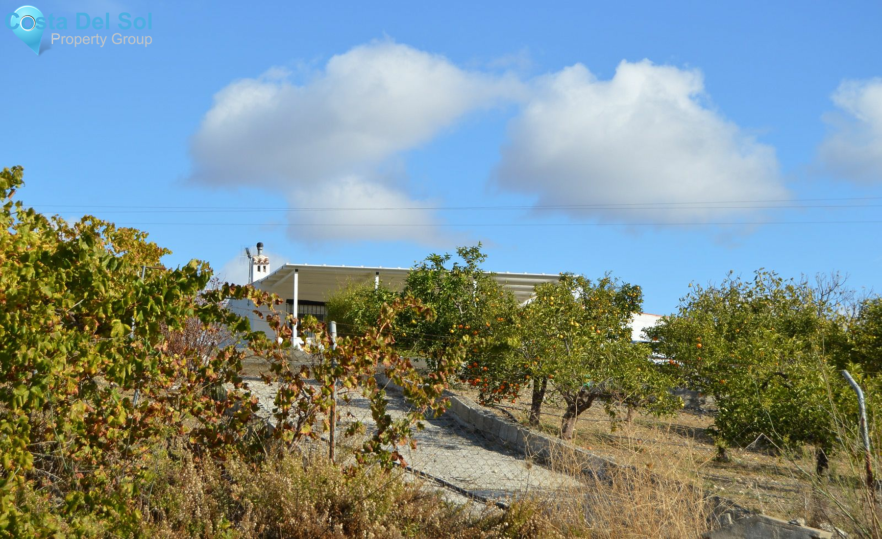 Finca - Cortijo in Alora-1466074