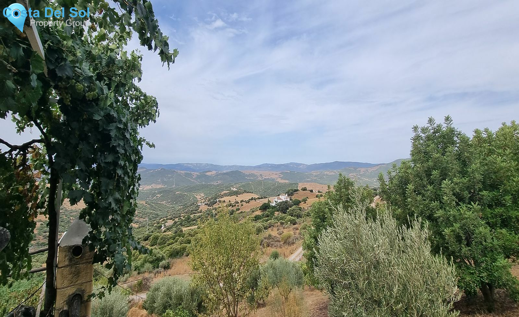 Finca - Cortijo in Casares-1474134