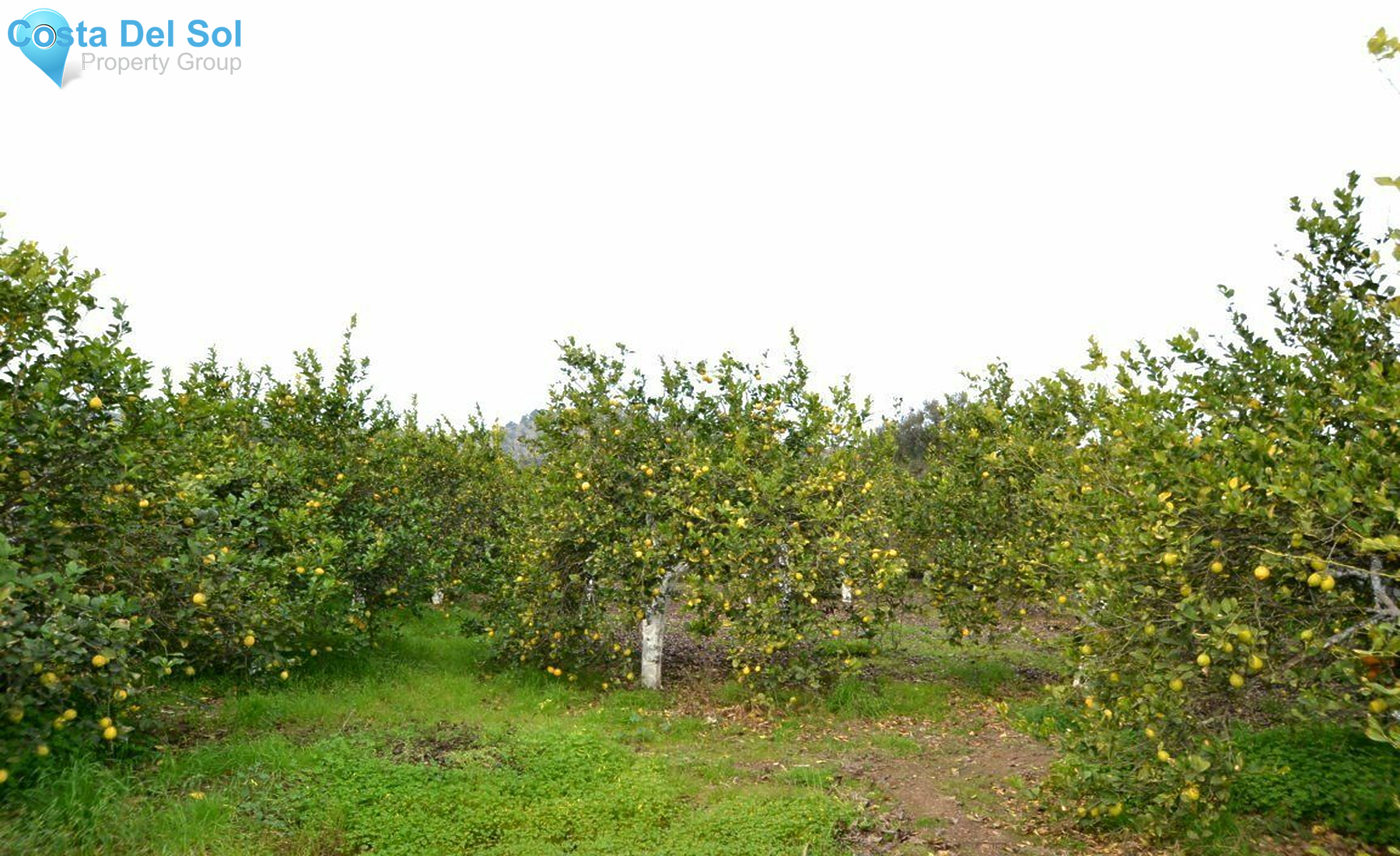 Finca - Cortijo in Coín-1196342