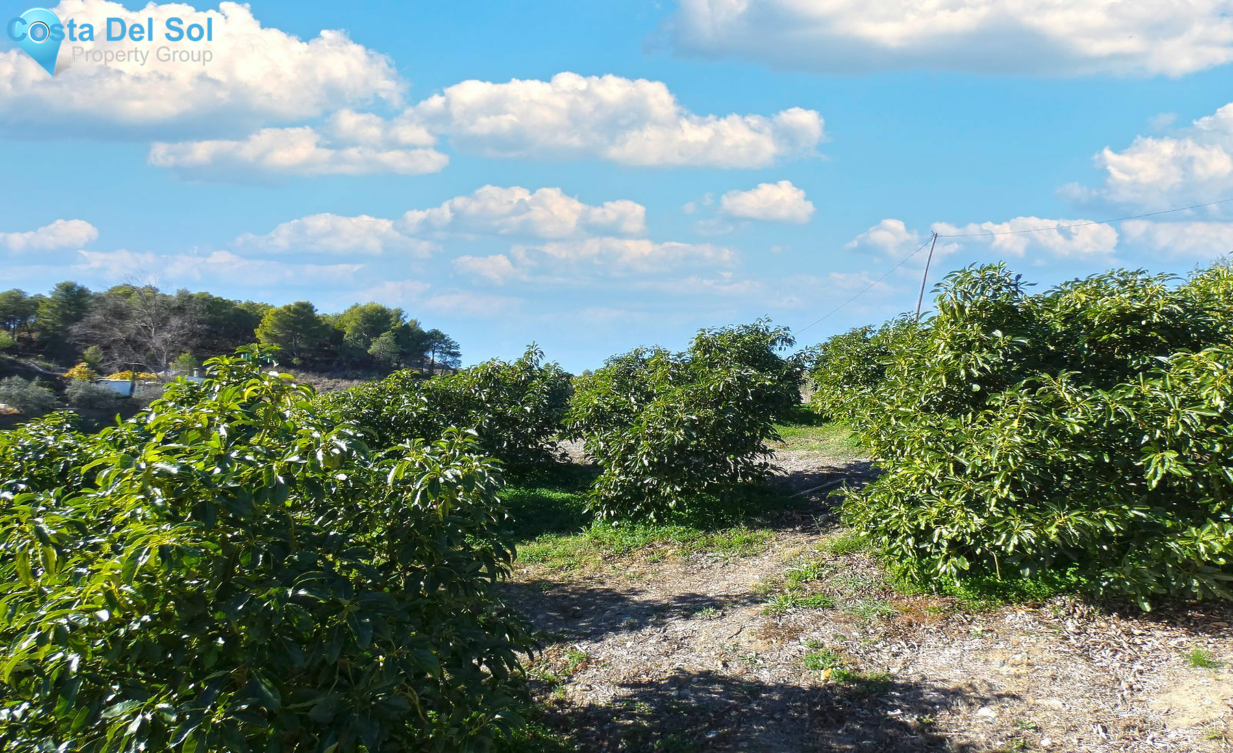 Finca - Cortijo in Coín-1489396