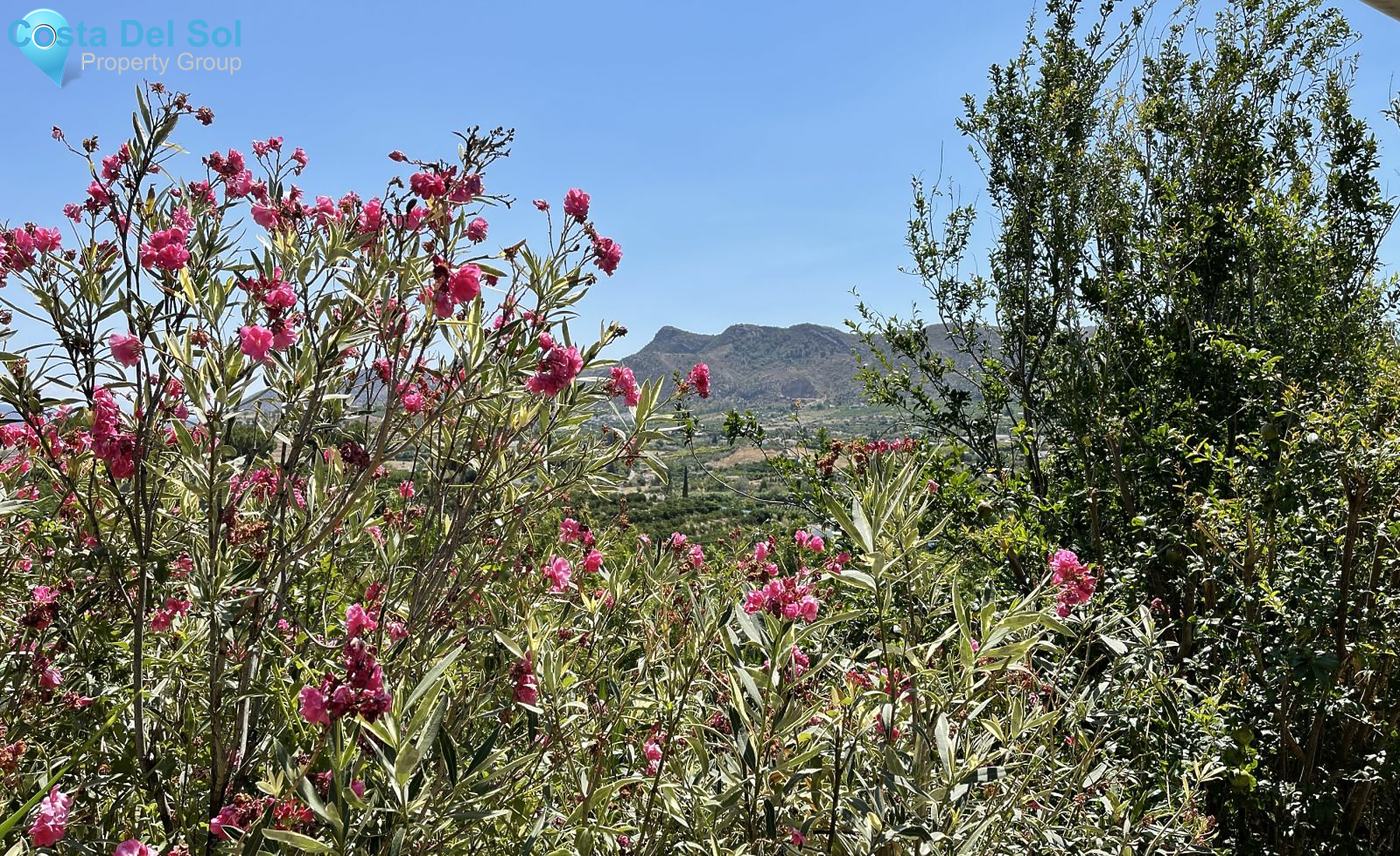 Finca - Cortijo in Cártama-1132650