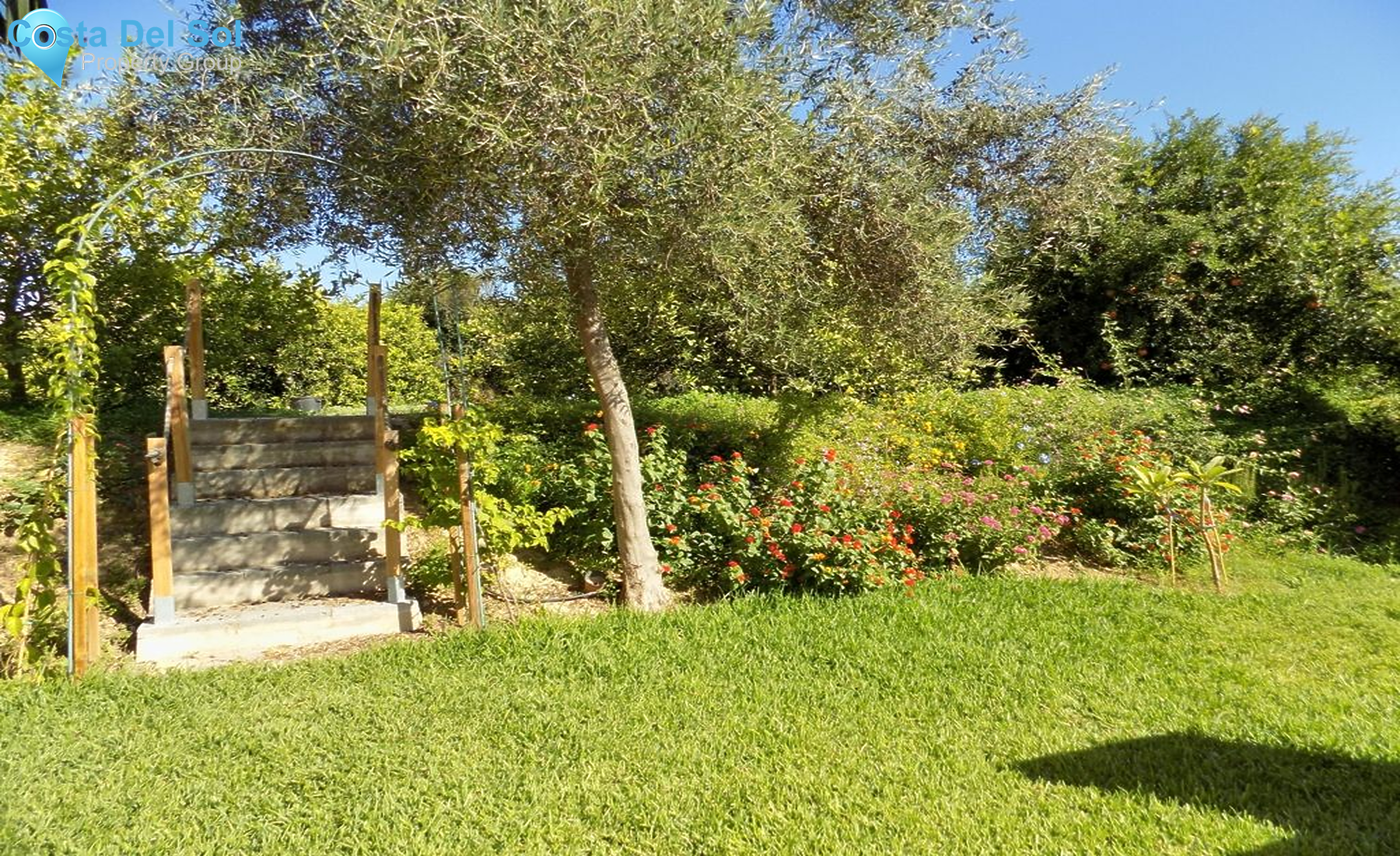 Finca - Cortijo in Cártama-1210805