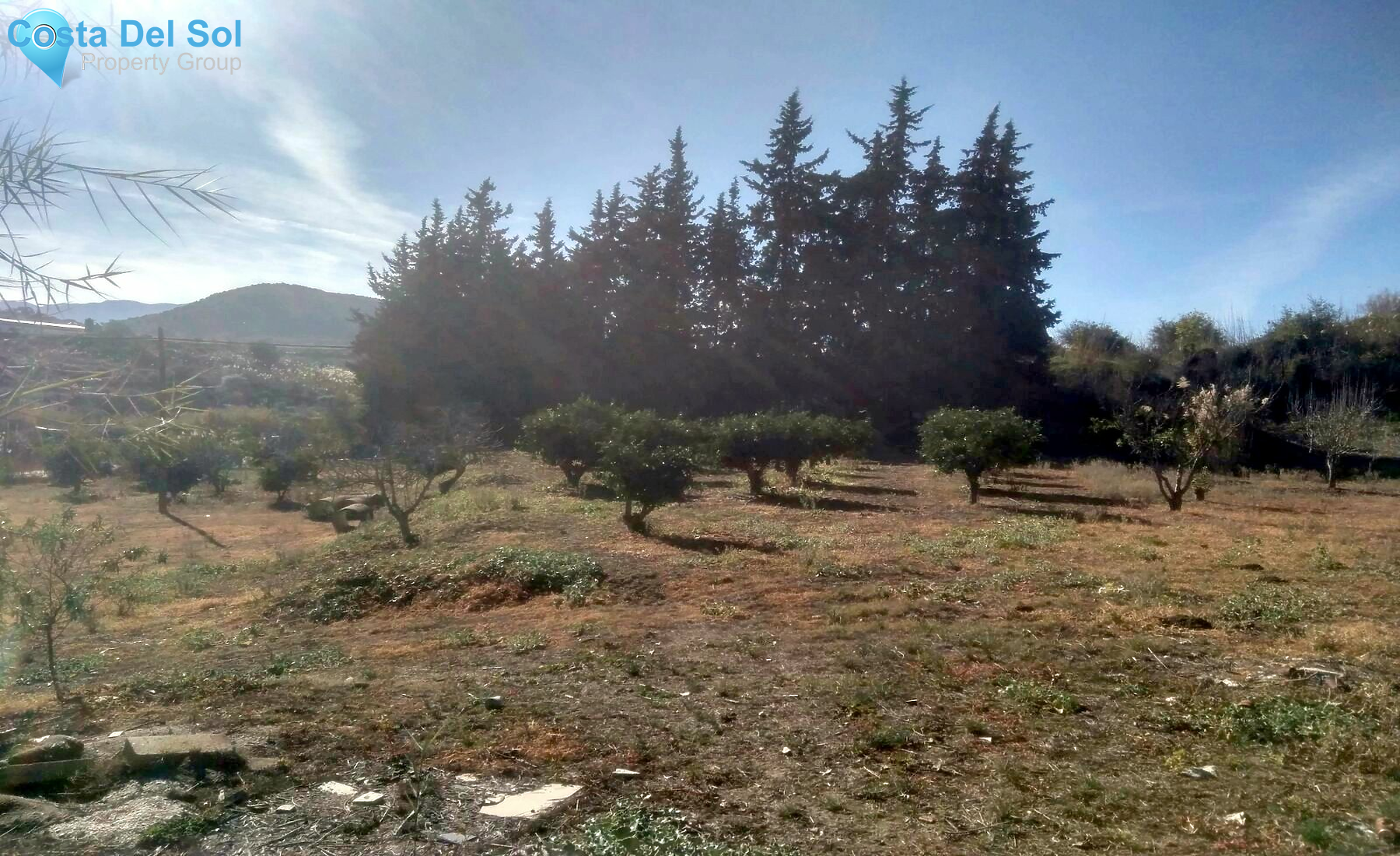 Finca - Cortijo in Cártama-1218437
