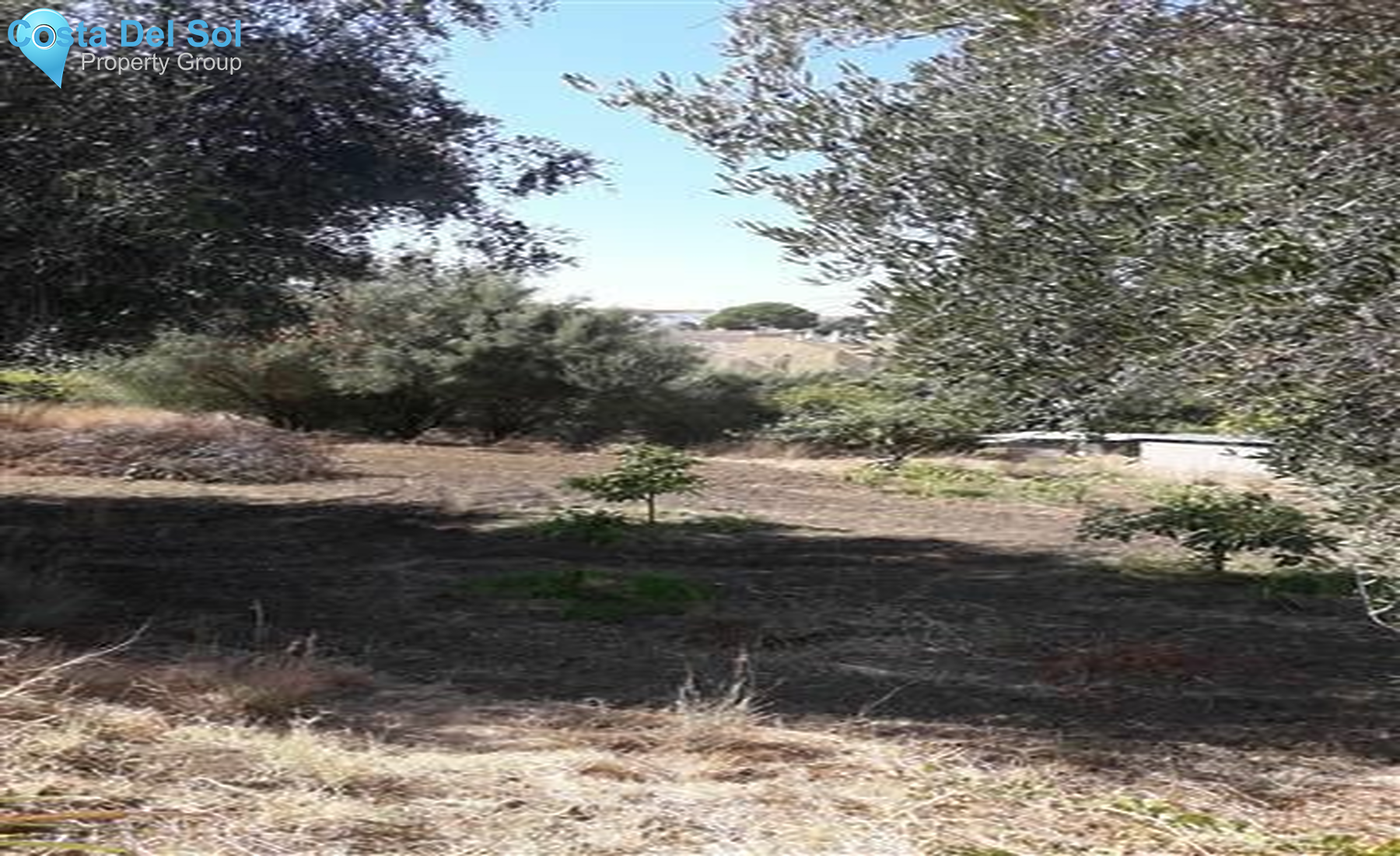 Finca - Cortijo in Estepona-1387290