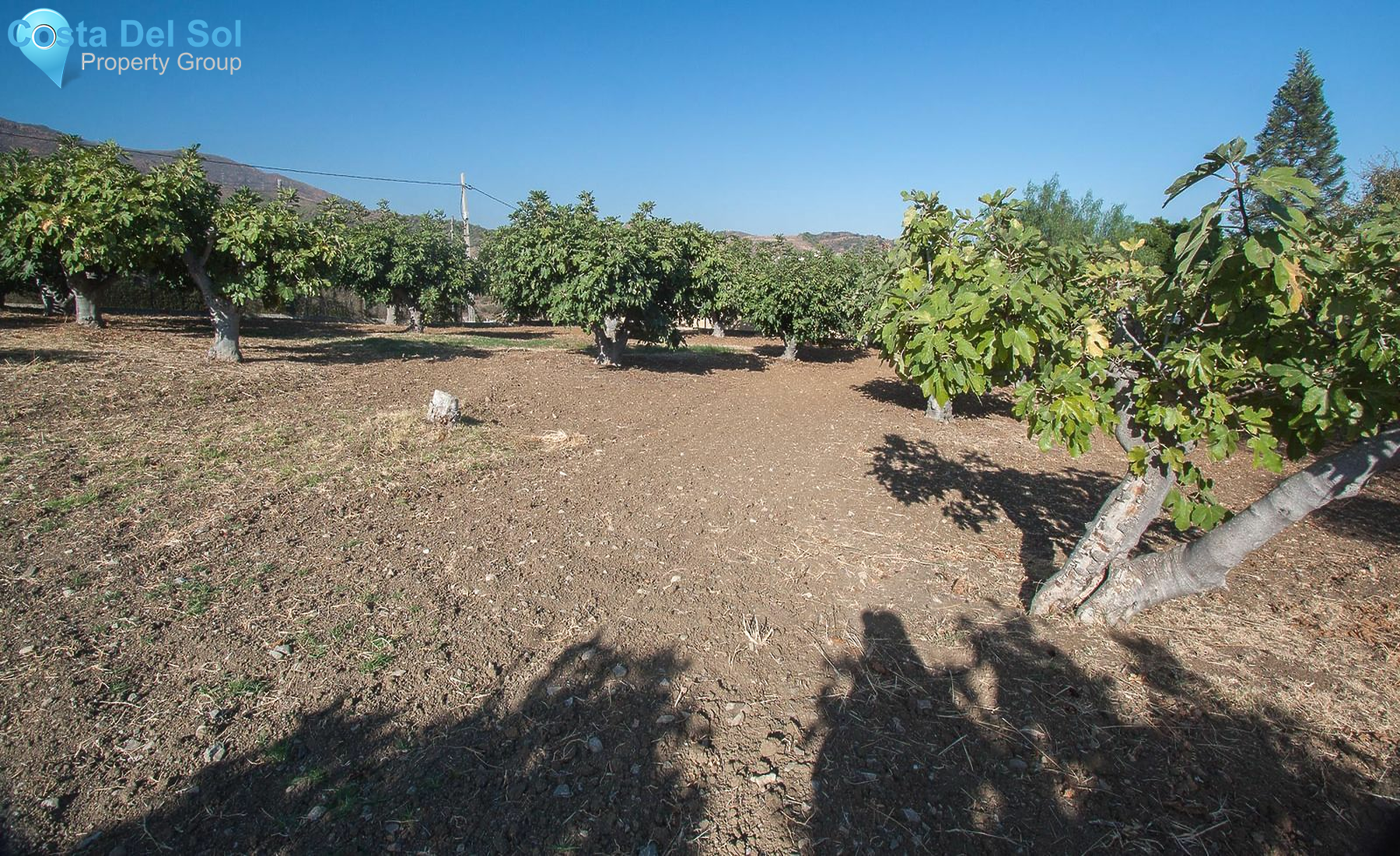 Finca - Cortijo in Estepona-1485257