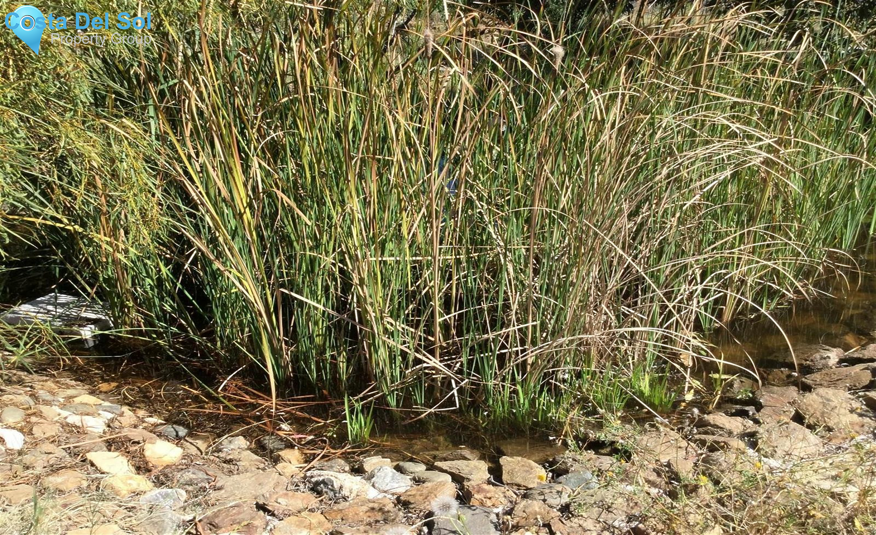 Finca - Cortijo in La Cala de Mijas-1520887