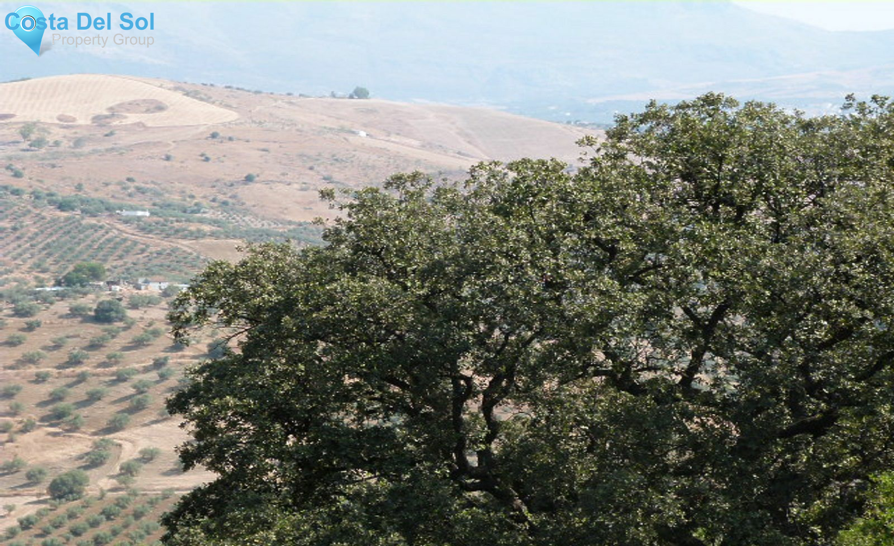 Finca - Cortijo in Los Romanes-1226021