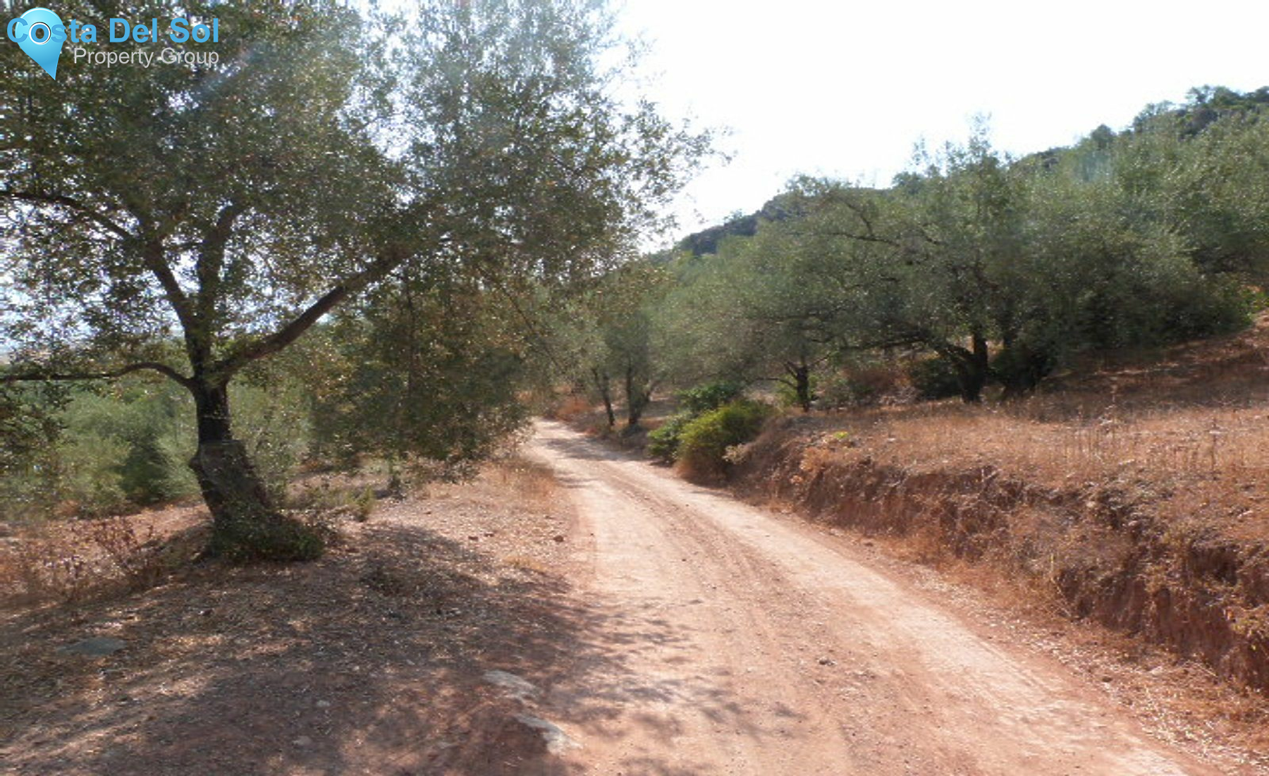 Finca - Cortijo in Los Romanes-1226022