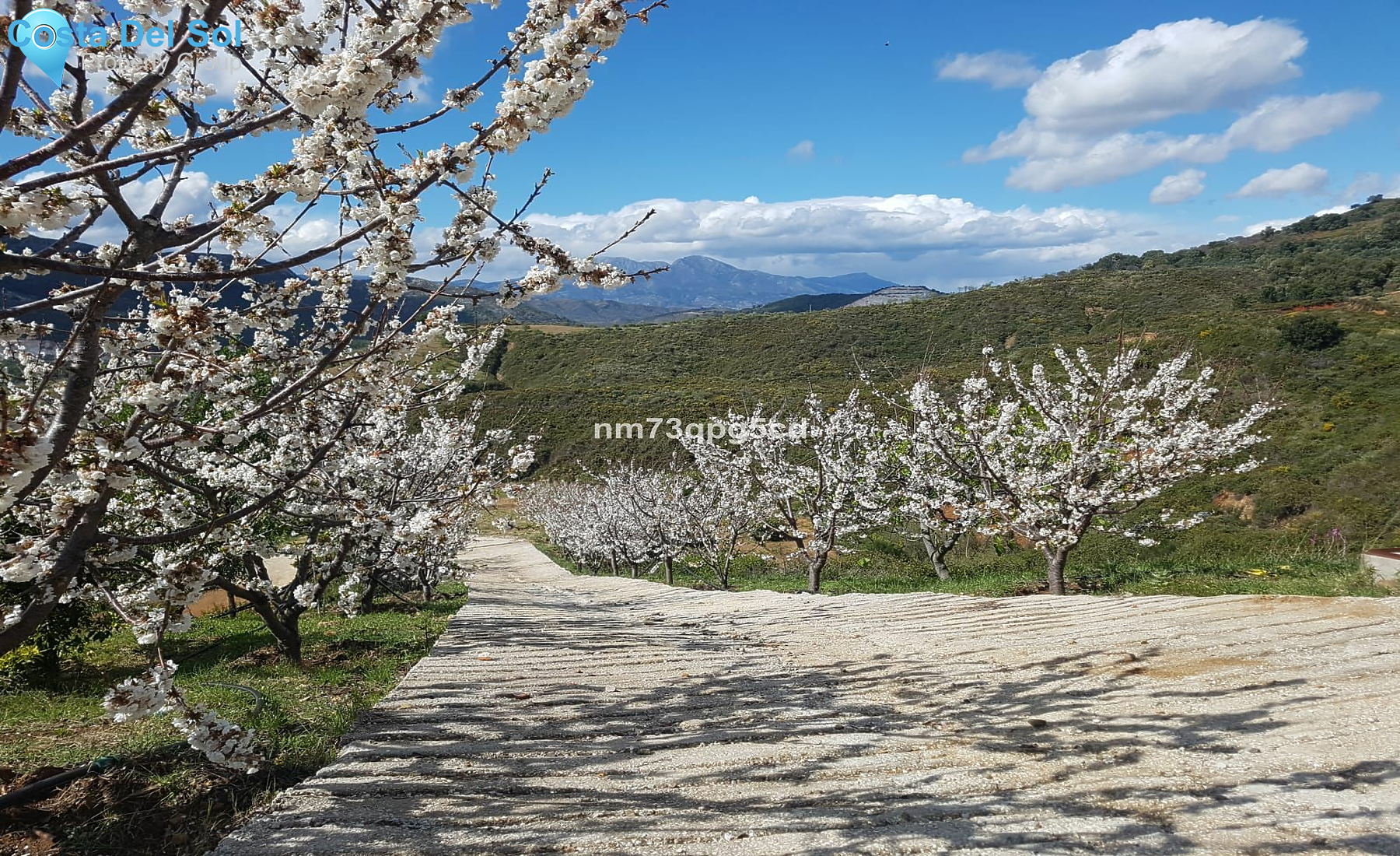 Finca - Cortijo in Marbella-1225821