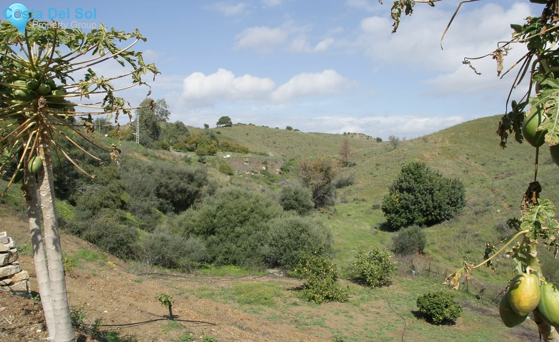 Finca - Cortijo in Mijas Golf-1390551