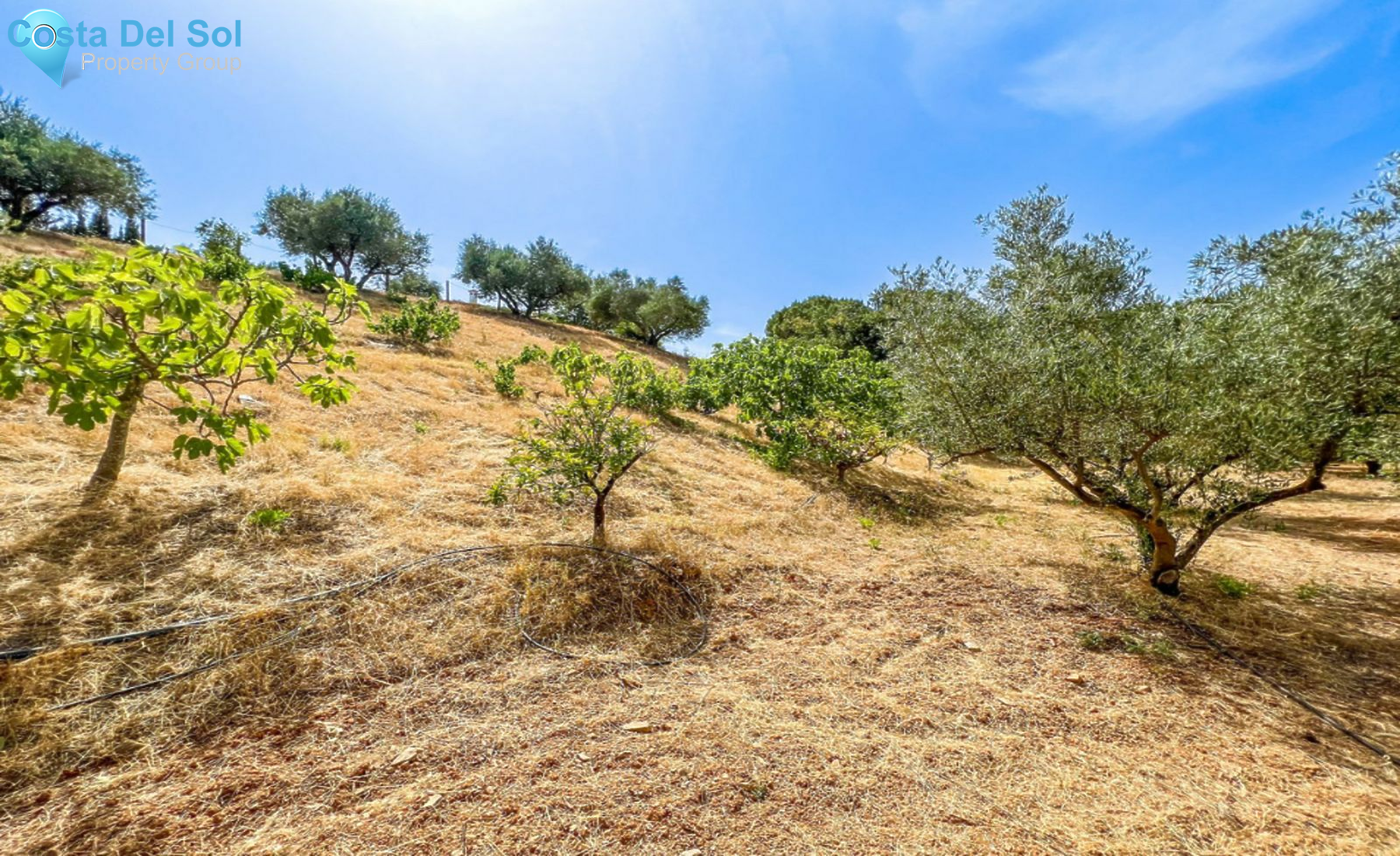 Finca - Cortijo in Mijas-1442320
